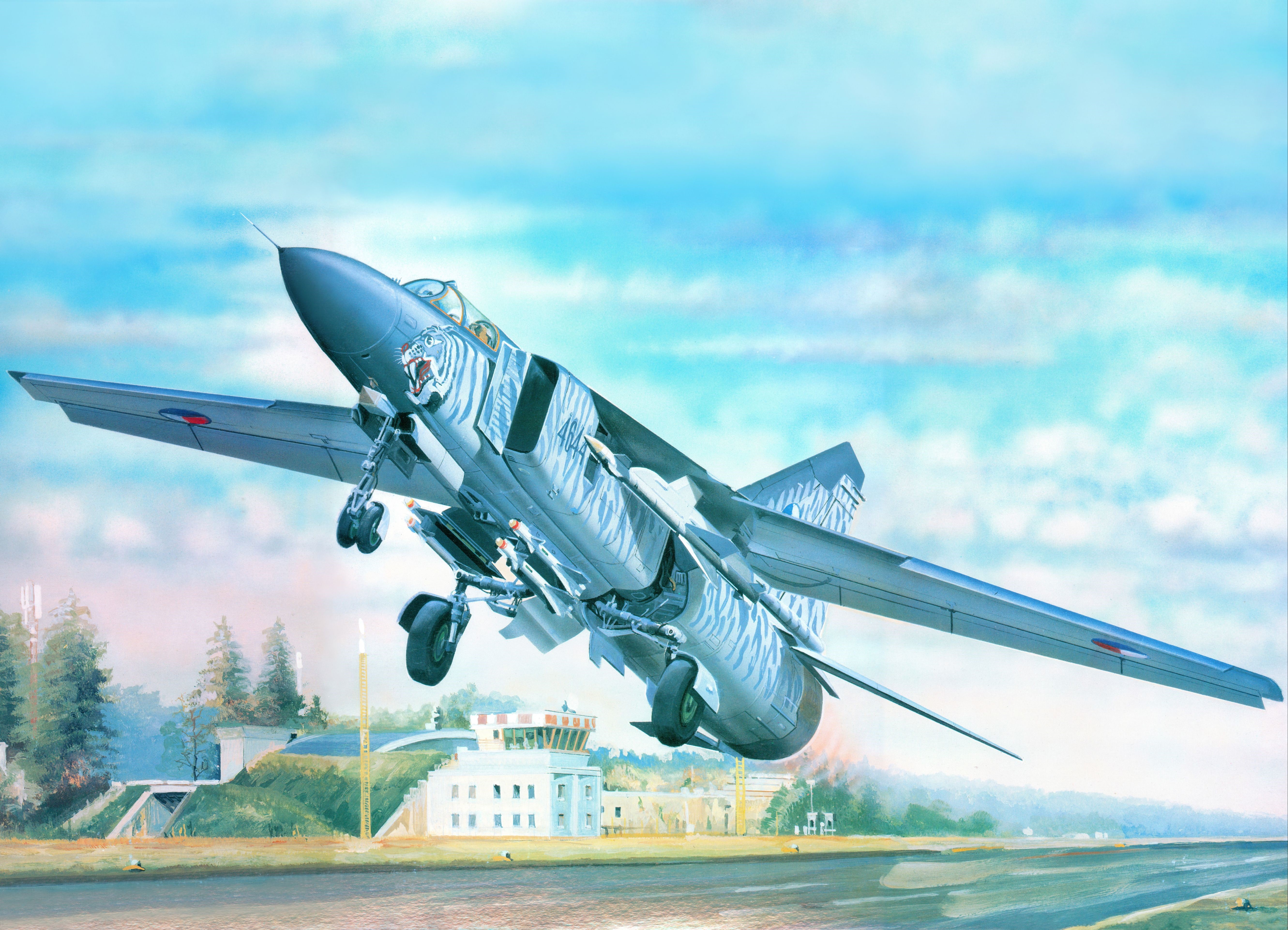 Airplane with Tiger Stripes Taking Off HD Wallpaper