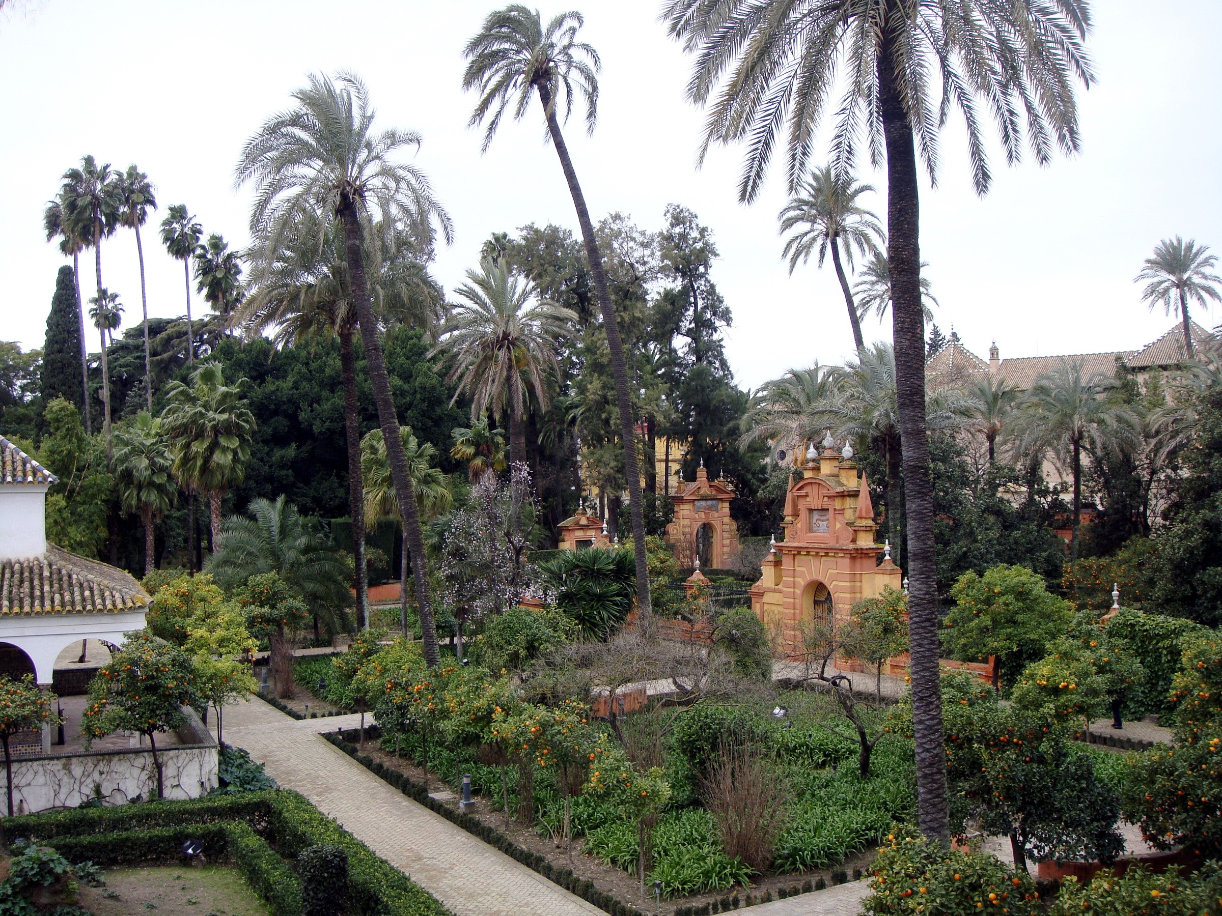 Gardens with palm trees and ornate architecture HD Wallpaper