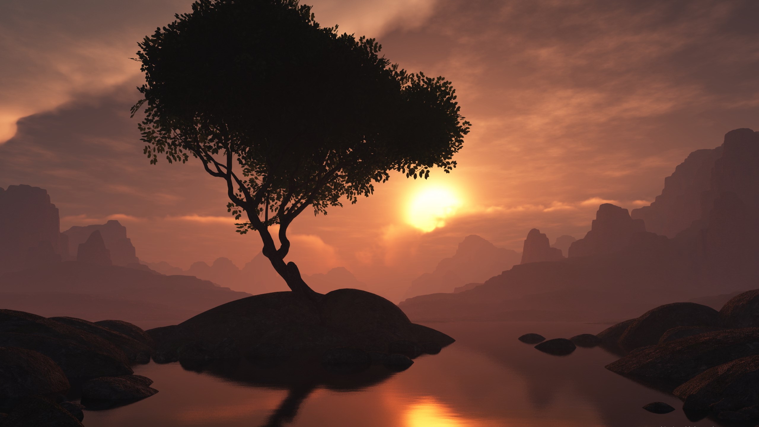 Silhouette of a tree on a rock in a lake at sunset HD Wallpaper