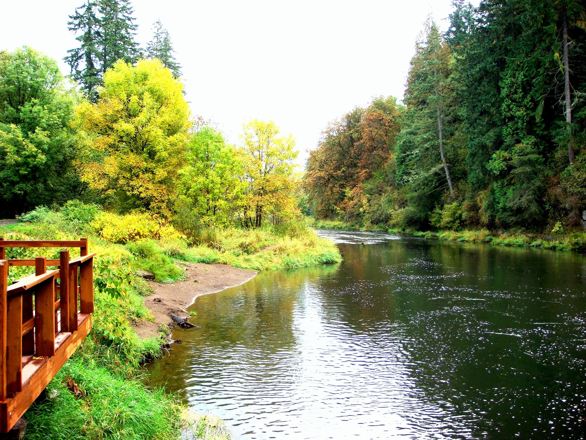 River flowing through a forest with autumn foliage HD Wallpaper