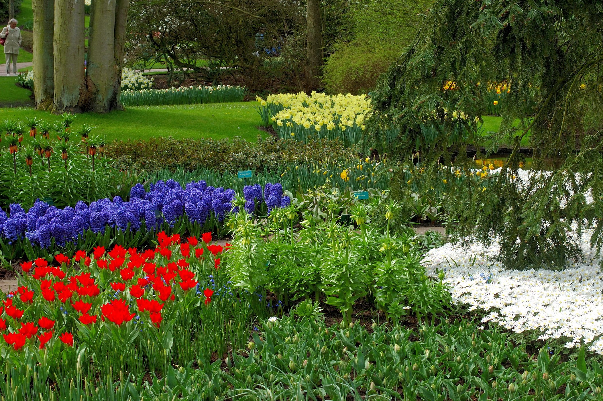 A park with colorful flower beds and trees HD Wallpaper