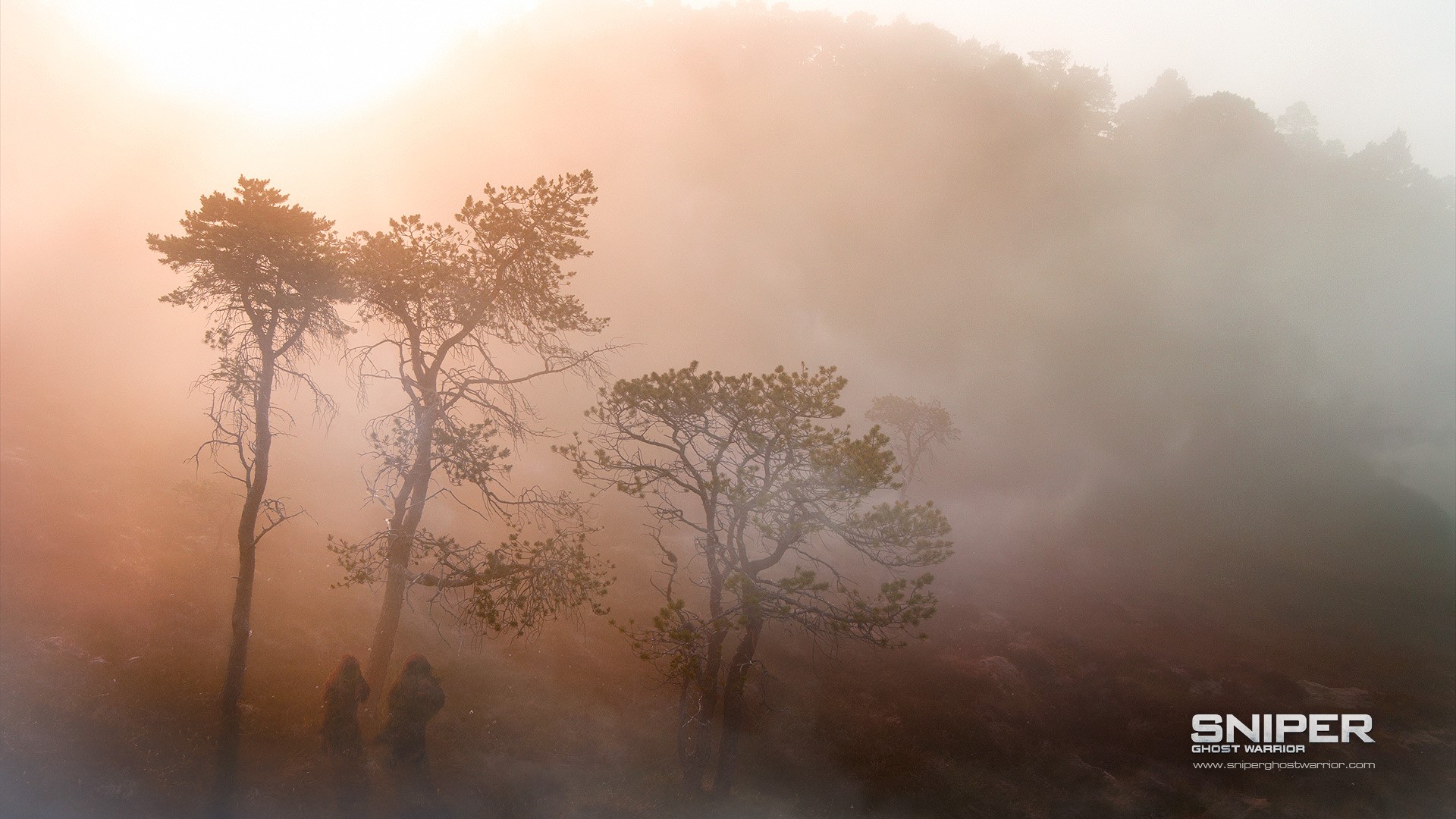 Sniper Ghost Warrior trees in fog HD Wallpaper