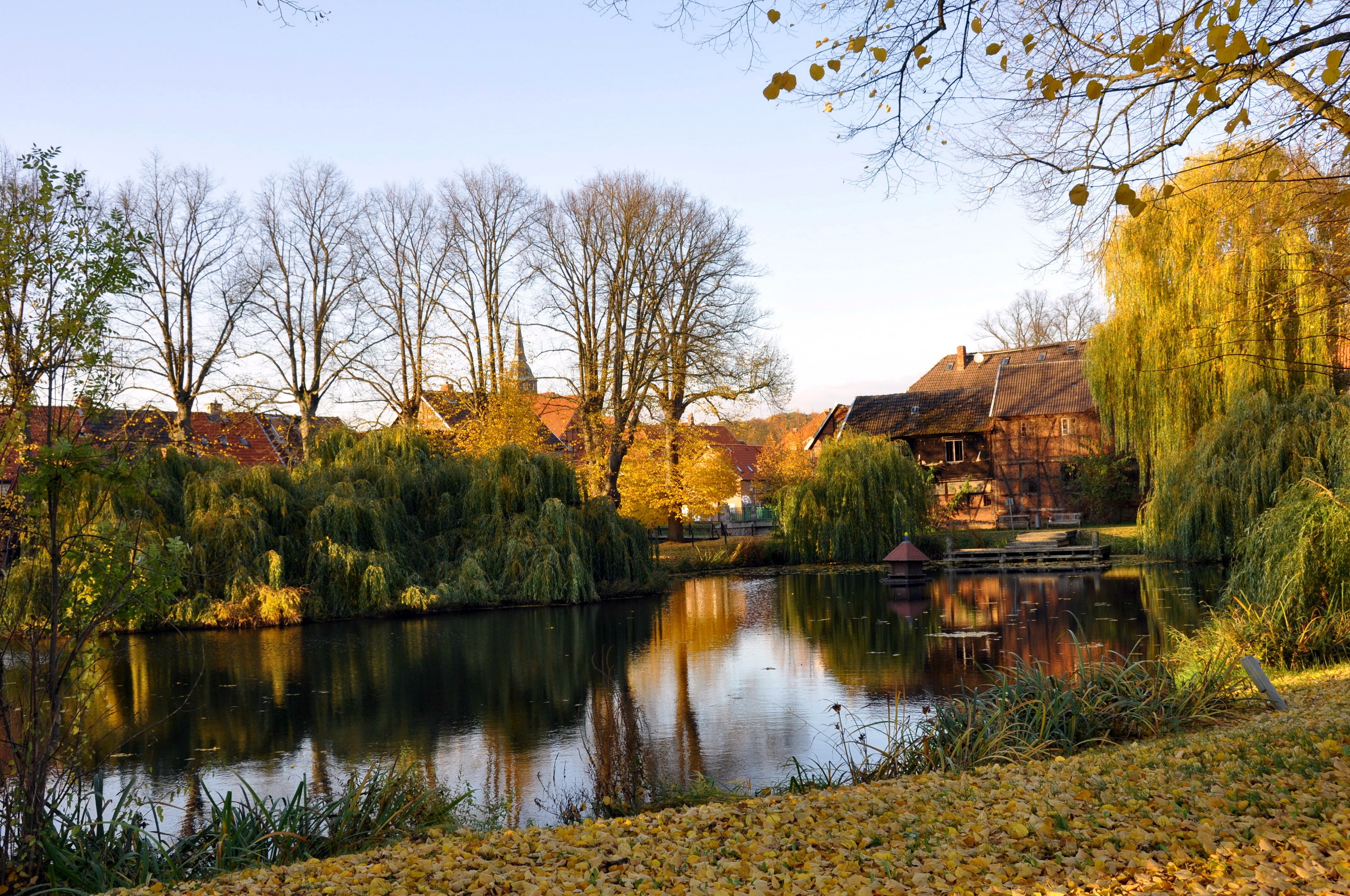 Autumnal village scene with a pond and weeping willows HD Wallpaper