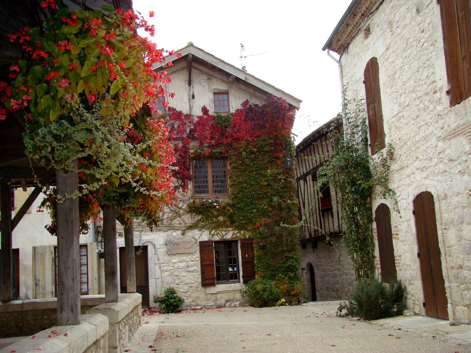 Houses in France with autumn foliage HD Wallpaper