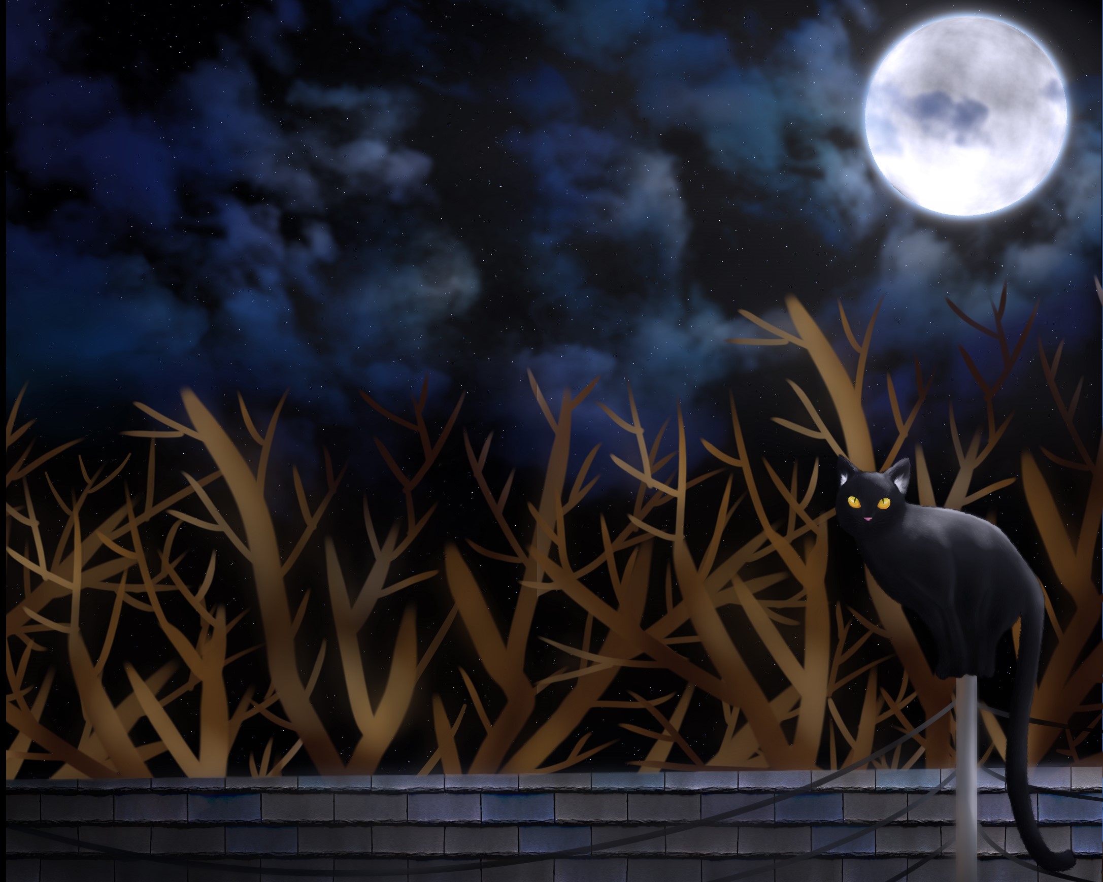 Black cat on a rooftop under the moon HD Wallpaper