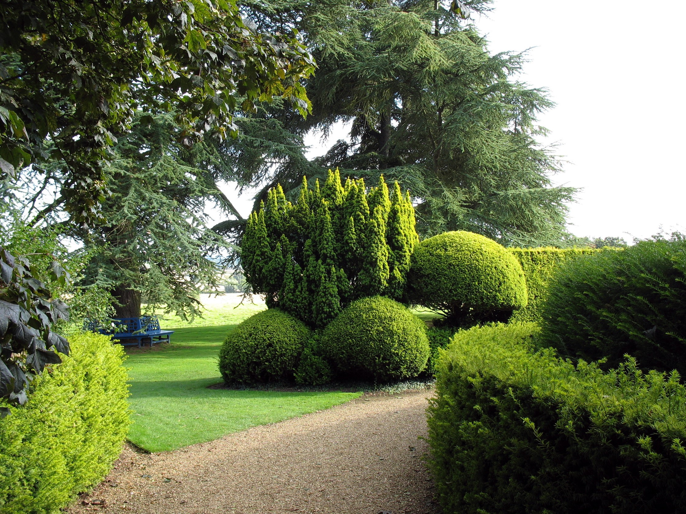 Park with manicured bushes and trees HD Wallpaper