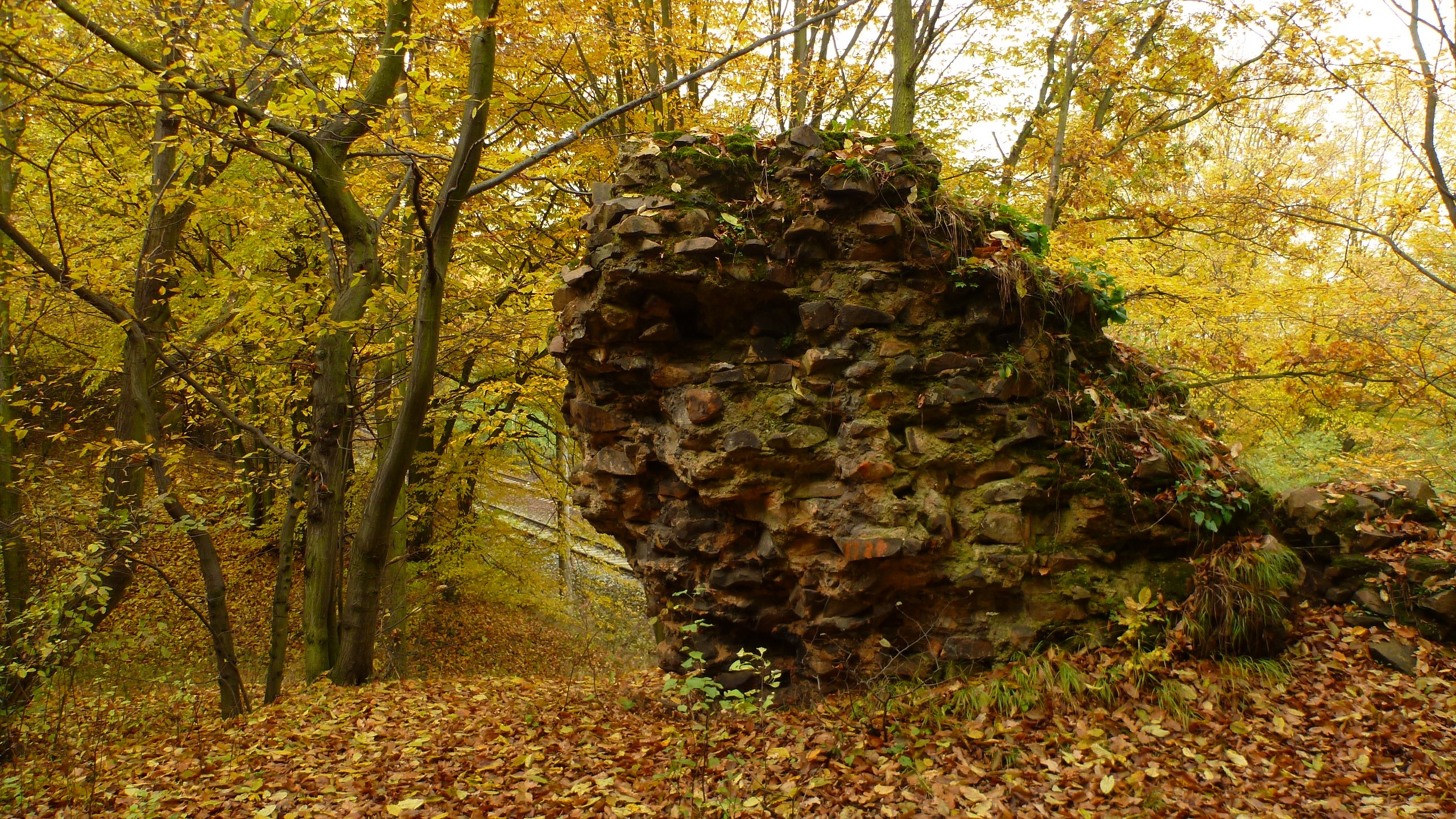 Stone ruins in an autumn forest HD Wallpaper