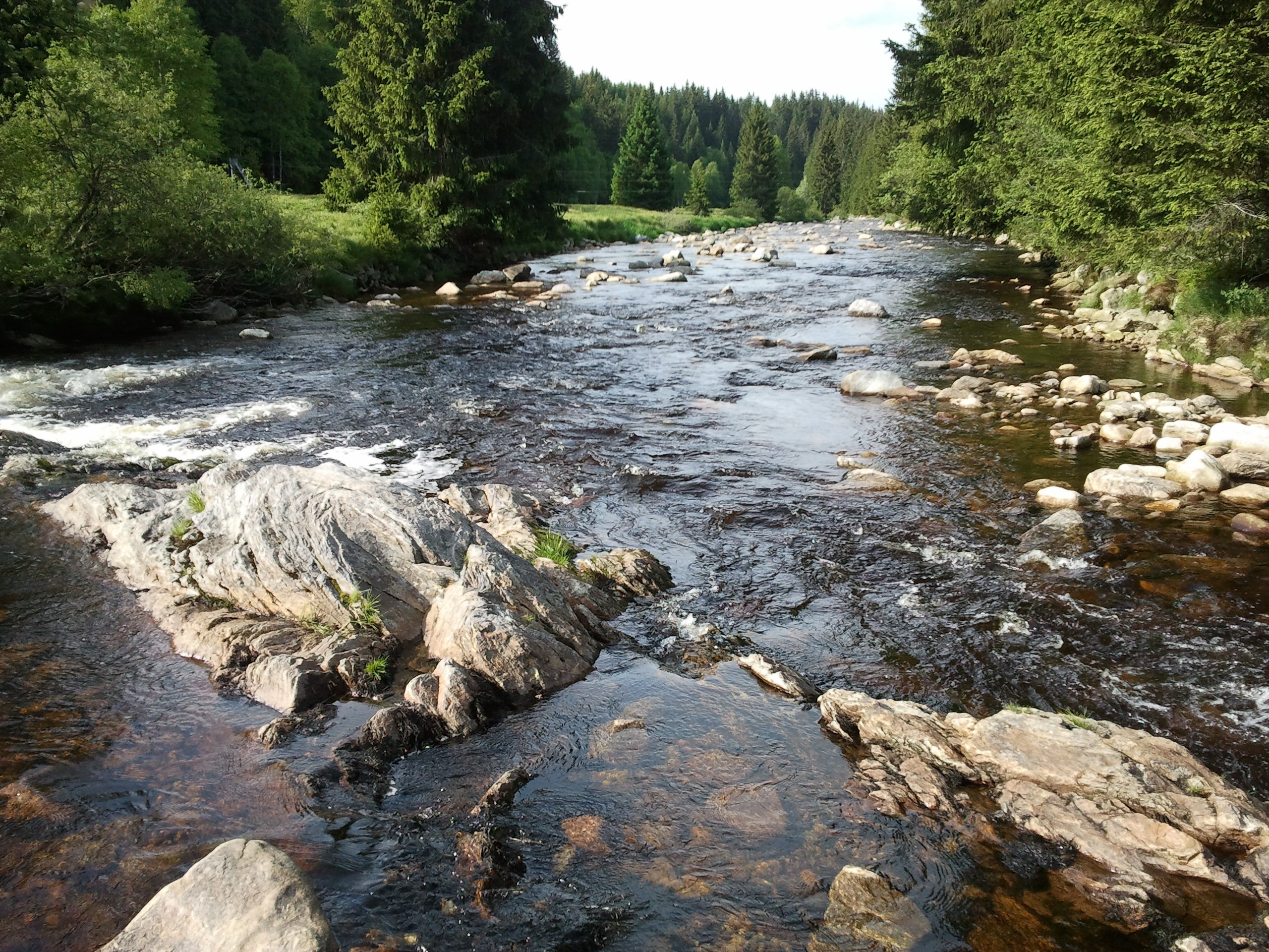 River flowing through a forest with rocks HD Wallpaper