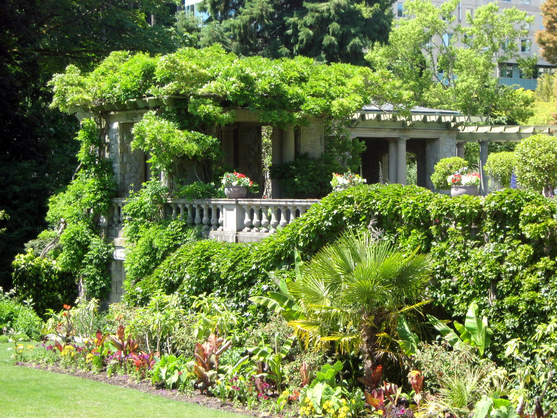 Stone Pergola Covered in Greenery at Hatley Park HD Wallpaper