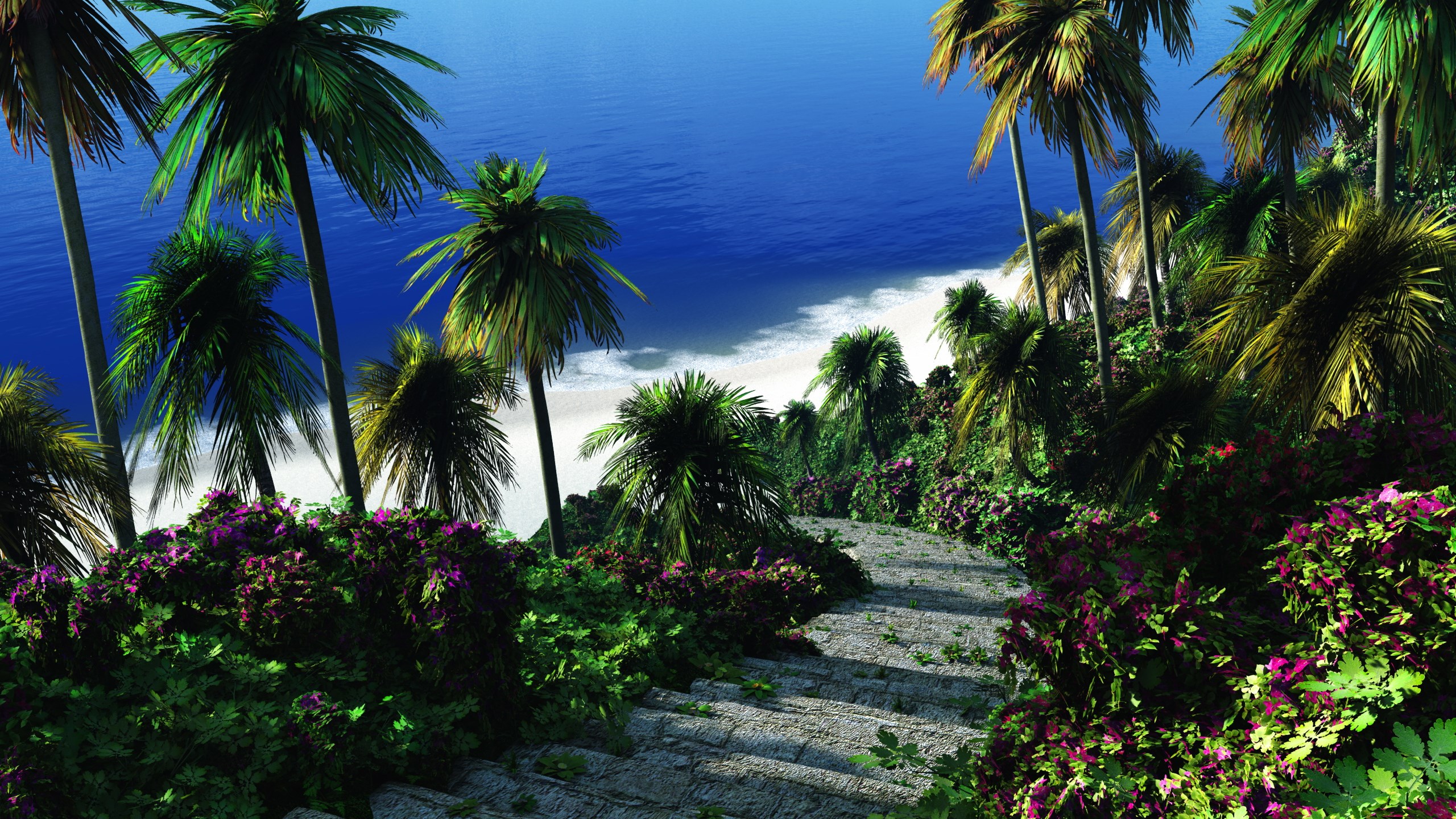 Tropical beach with palm trees and stone stairs HD Wallpaper