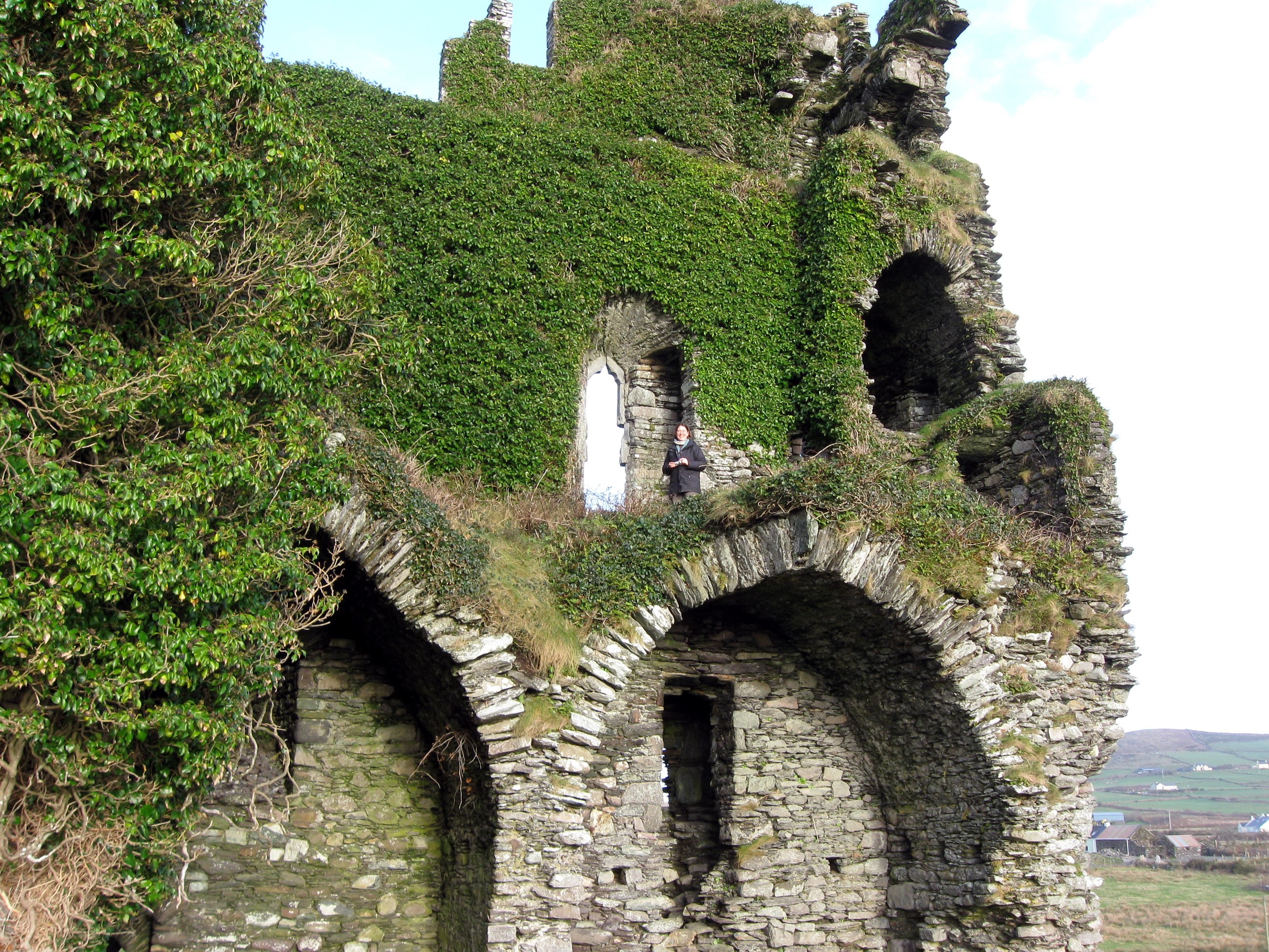 Ruins of Carbery Castle in Ireland covered in ivy HD Wallpaper