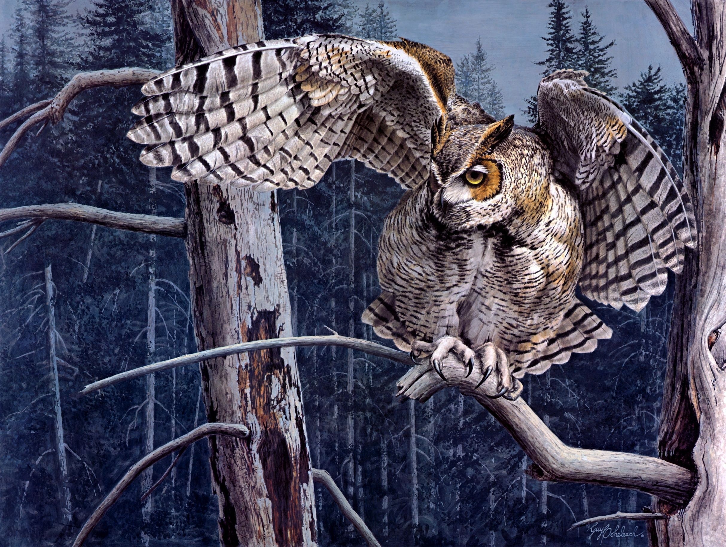 Great Horned Owl perched on a branch in a forest HD Wallpaper