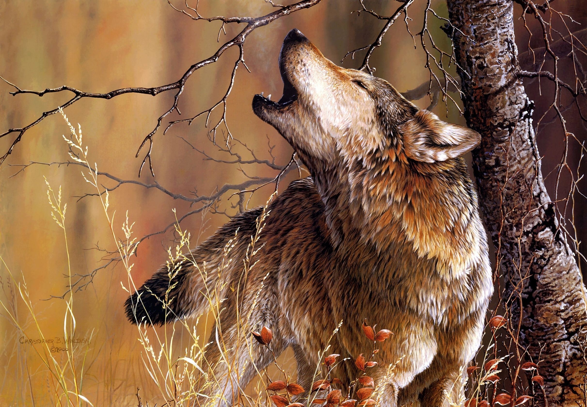Wolf howling in a forest HD Wallpaper