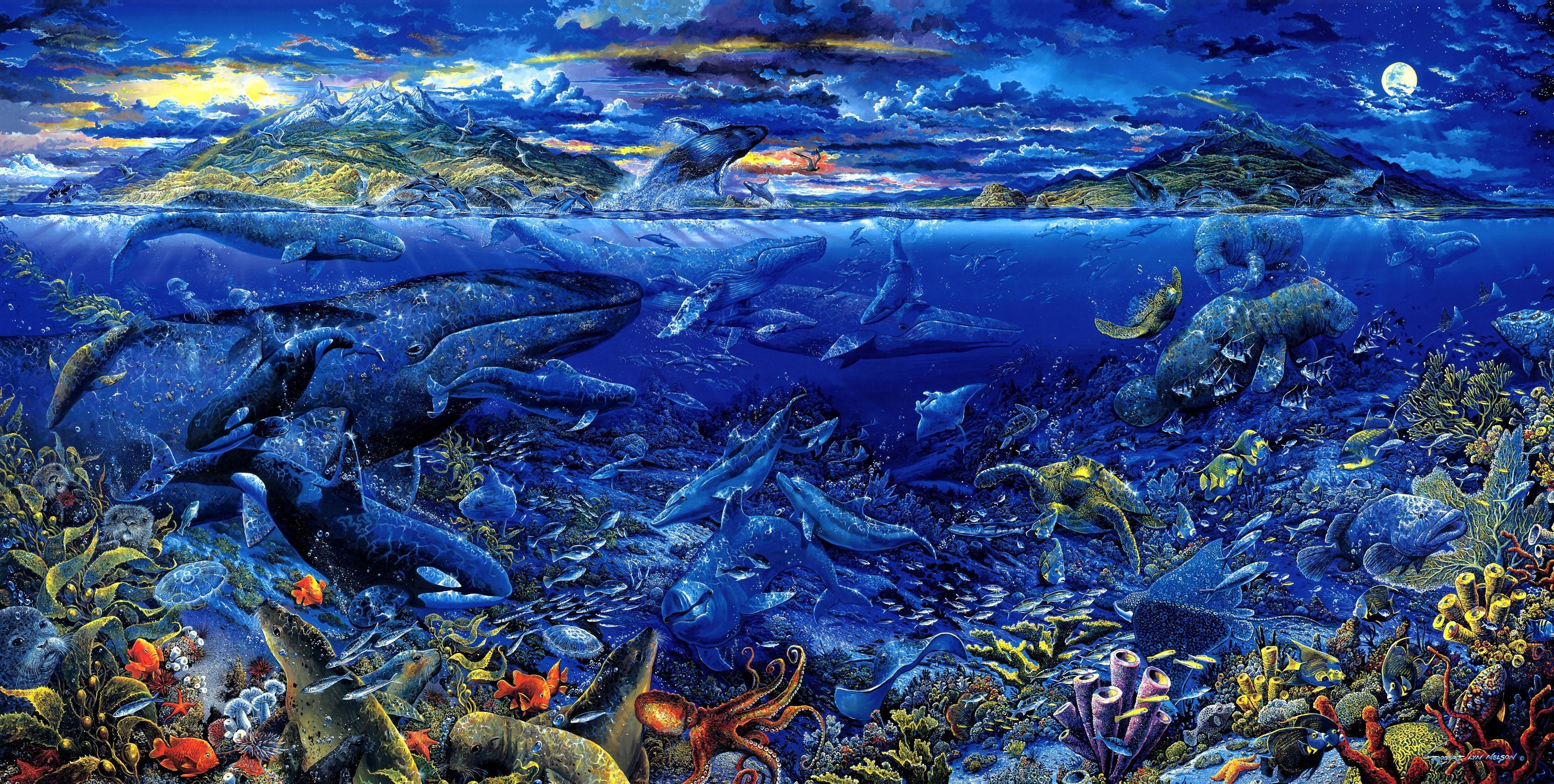 Underwater world with whales, dolphins, and marine life HD Wallpaper