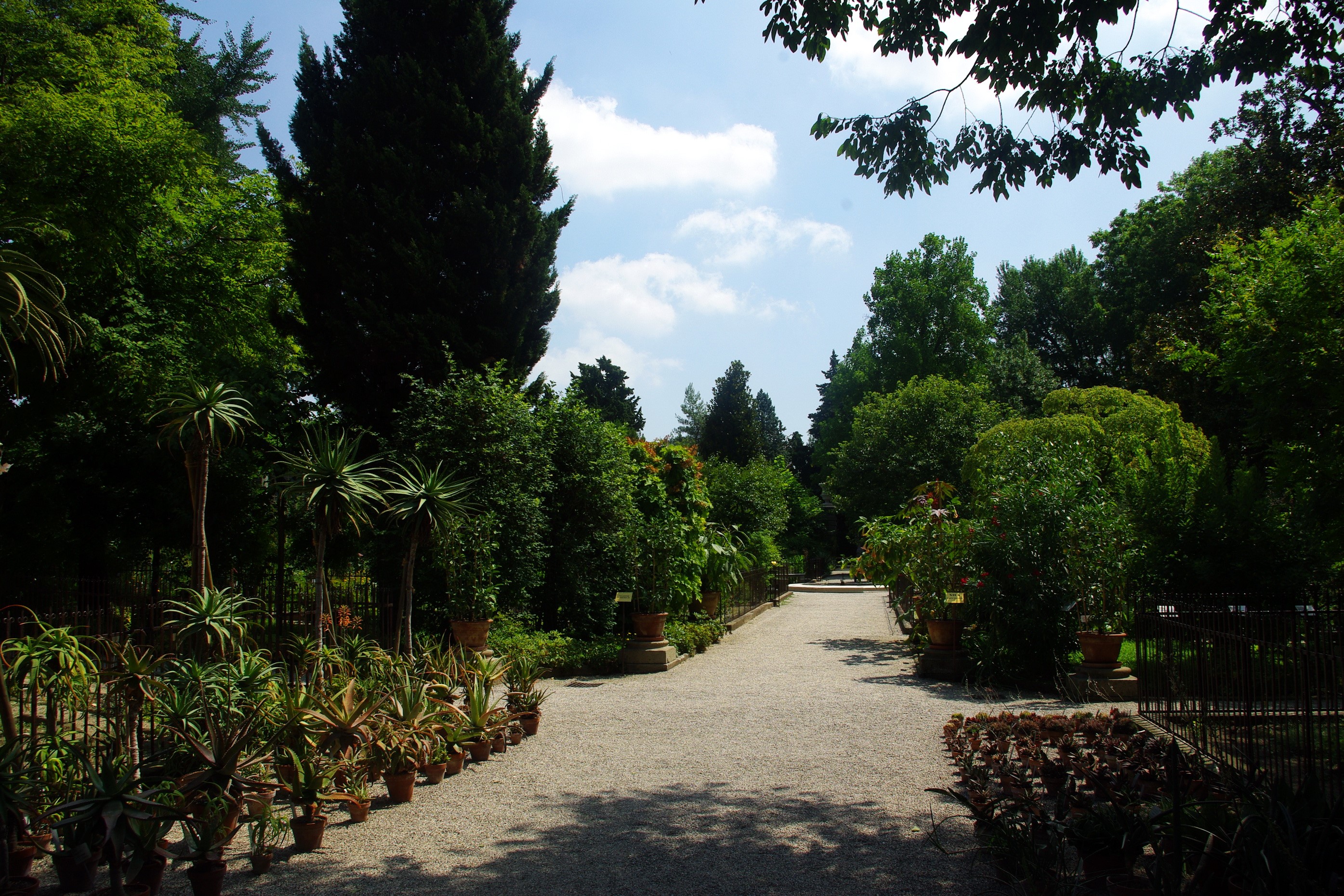 A gravel path winds through a botanical garden with potted plants and trees. HD Wallpaper