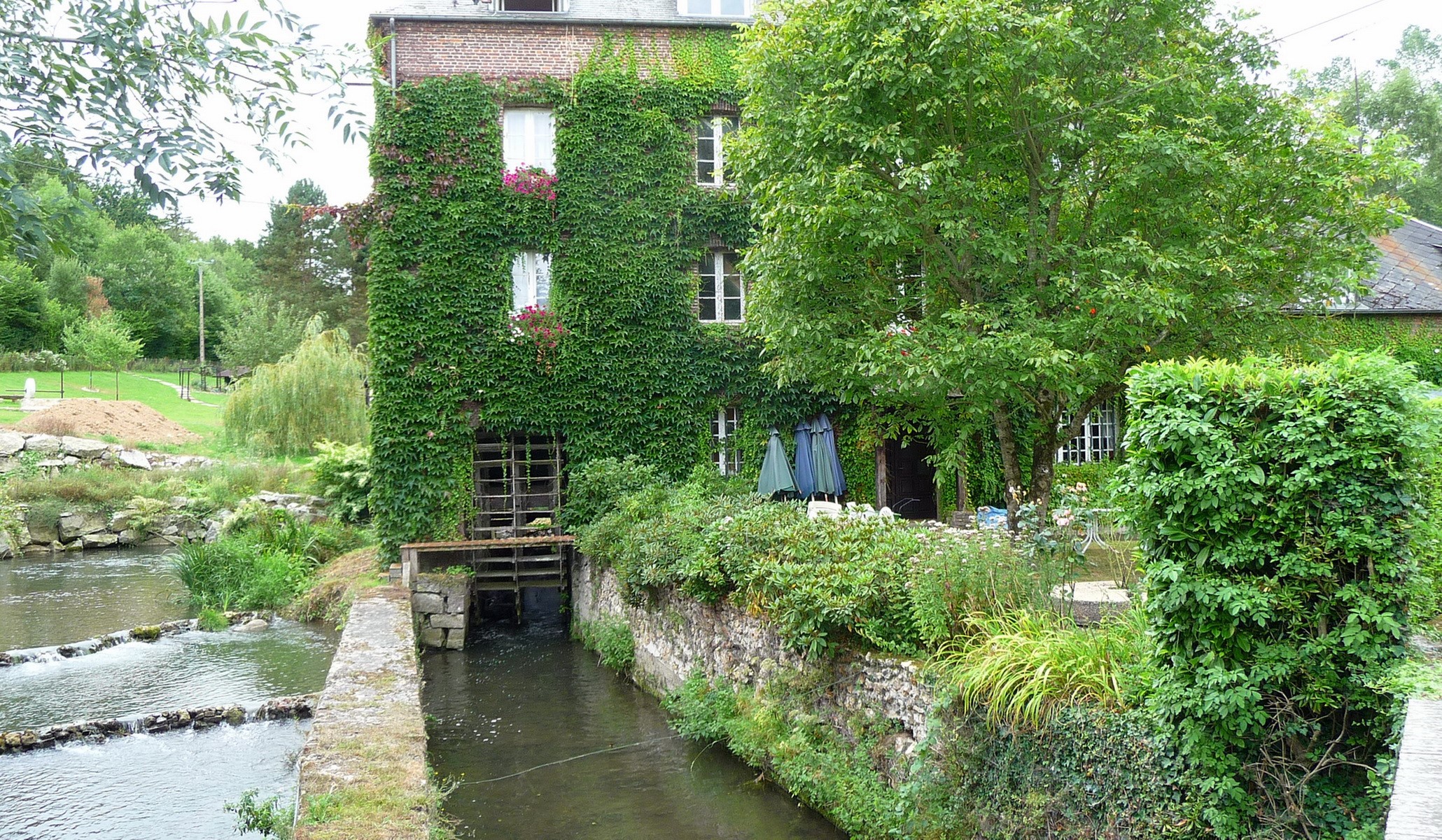 Ivy-covered mill building by a river in France HD Wallpaper