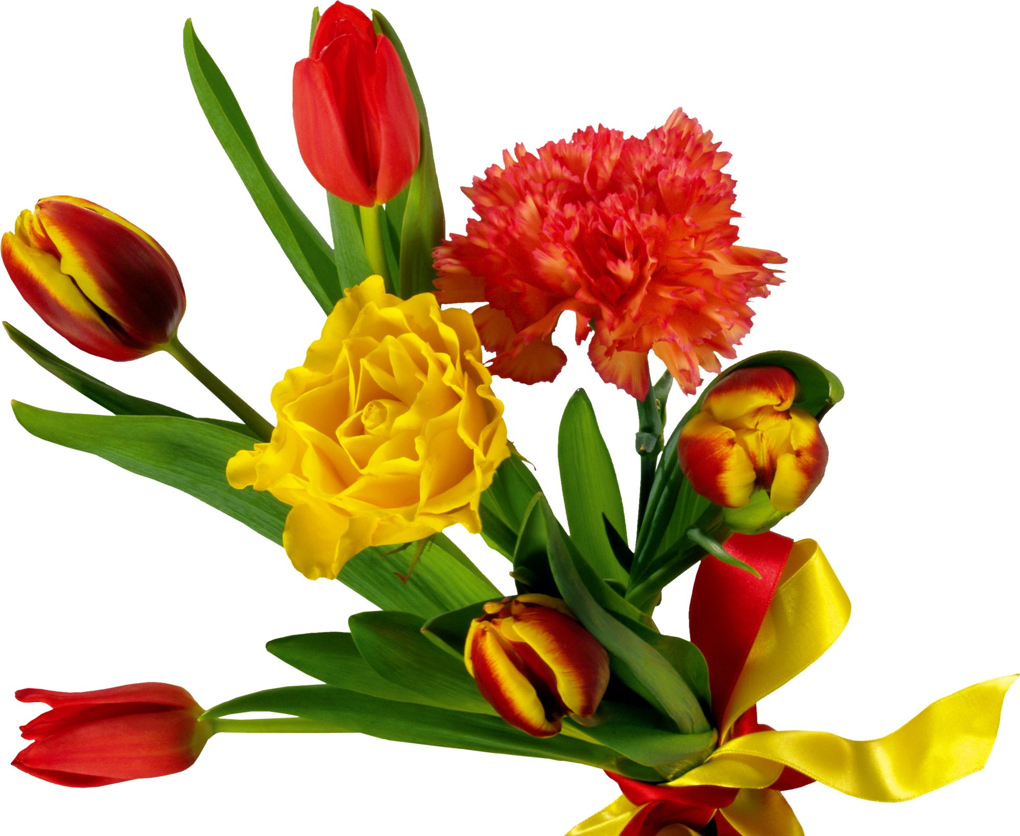 Bouquet of Tulips and Carnation with Ribbon HD Wallpaper