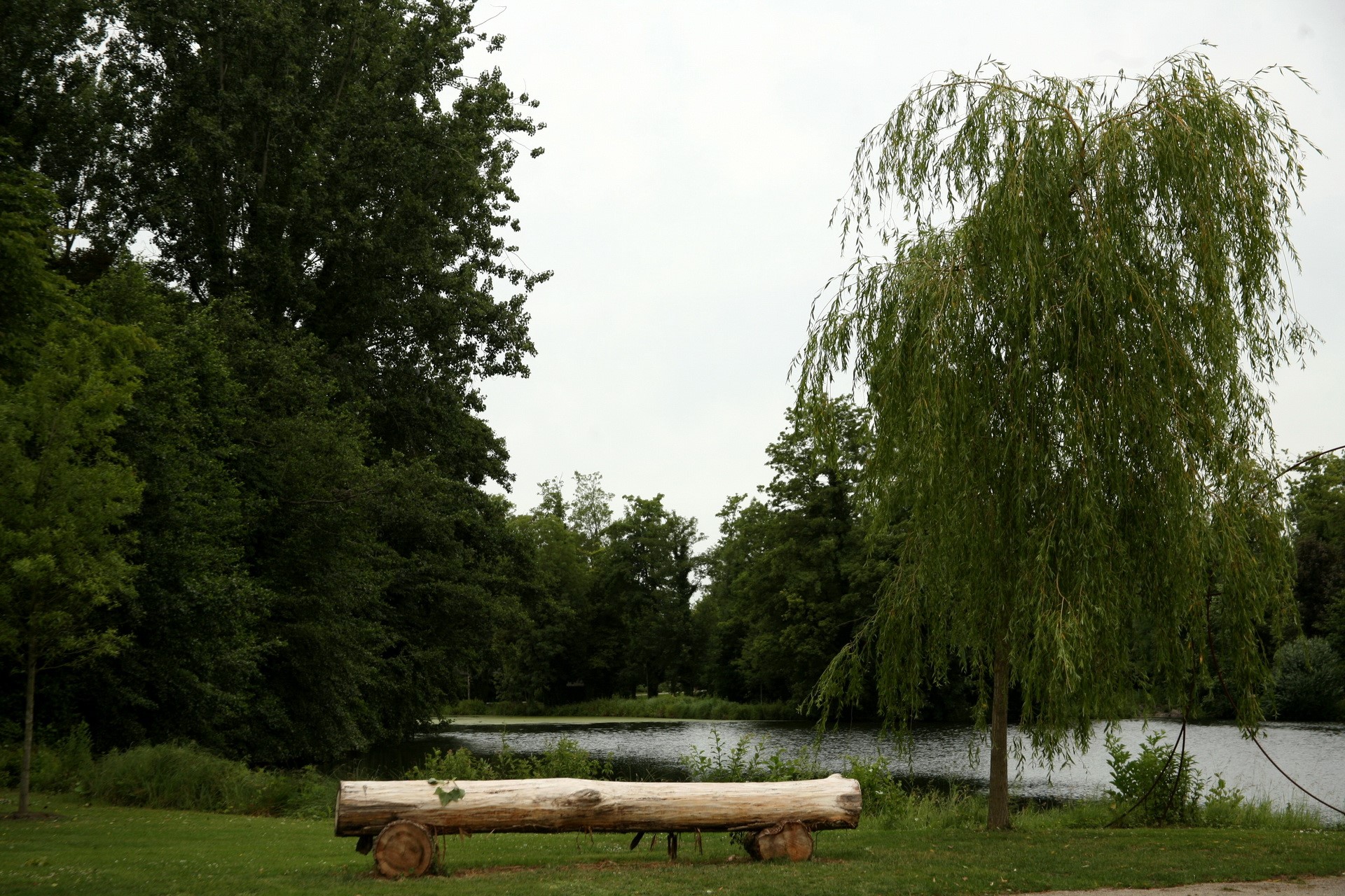 Log bench by a lake with weeping willow tree HD Wallpaper