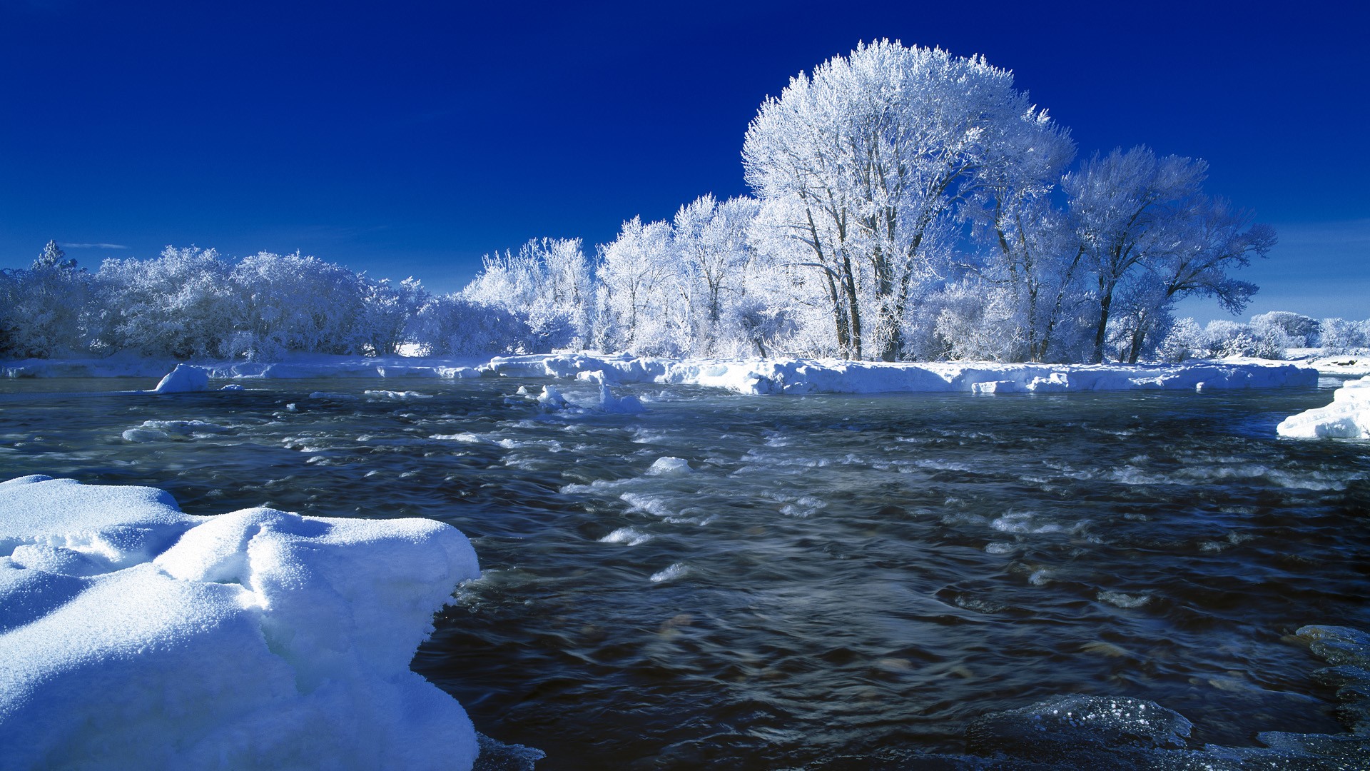 Winter scene of Fall River in Idaho with snow-covered trees HD Wallpaper