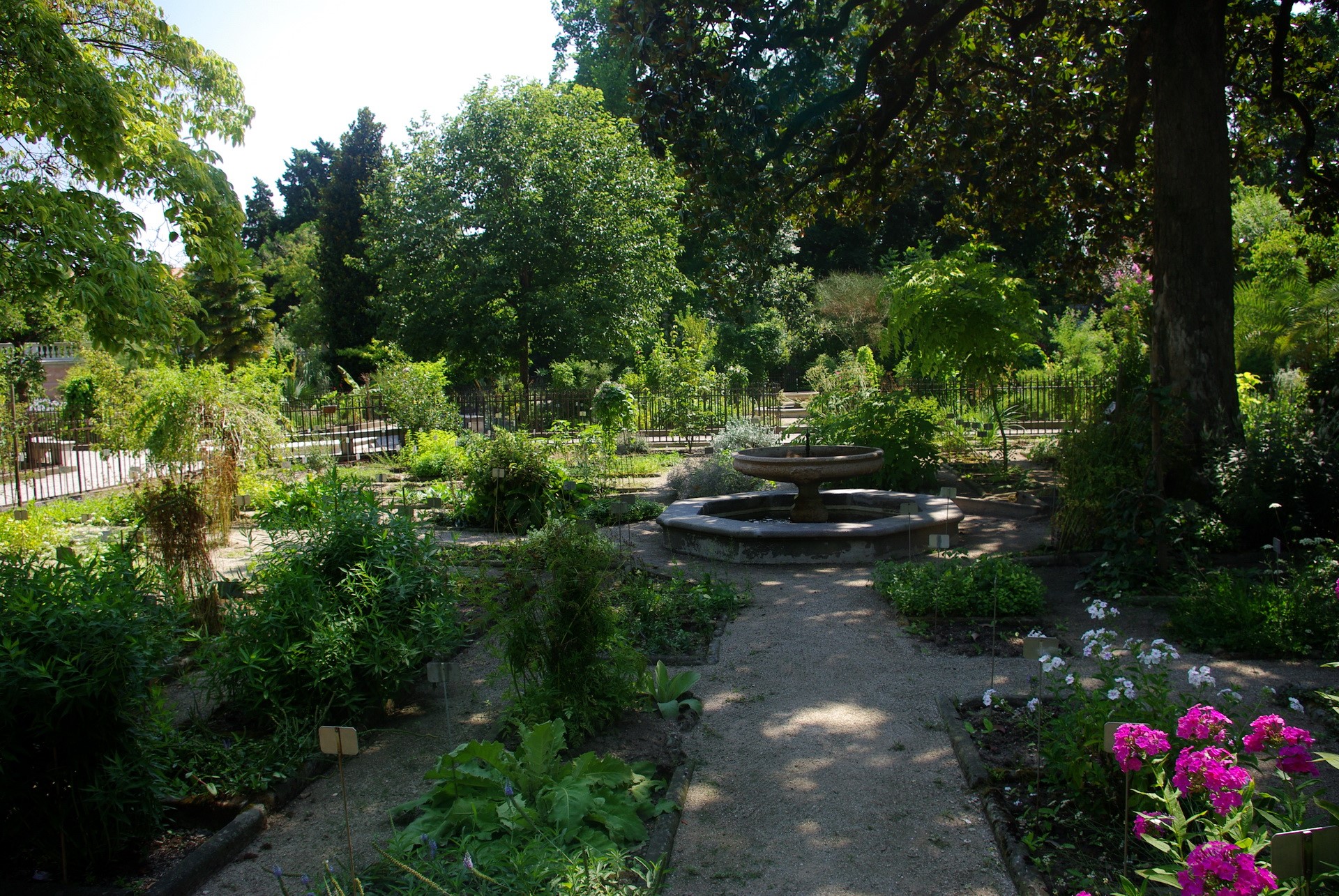 Botanical garden with fountain and flowers HD Wallpaper
