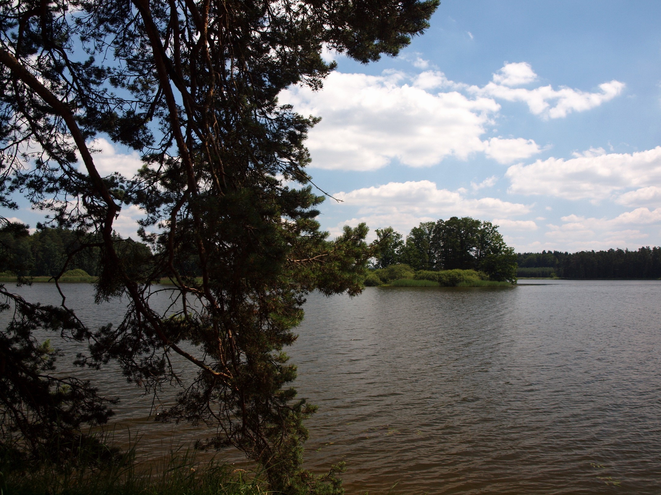 Lake with trees and clouds HD Wallpaper
