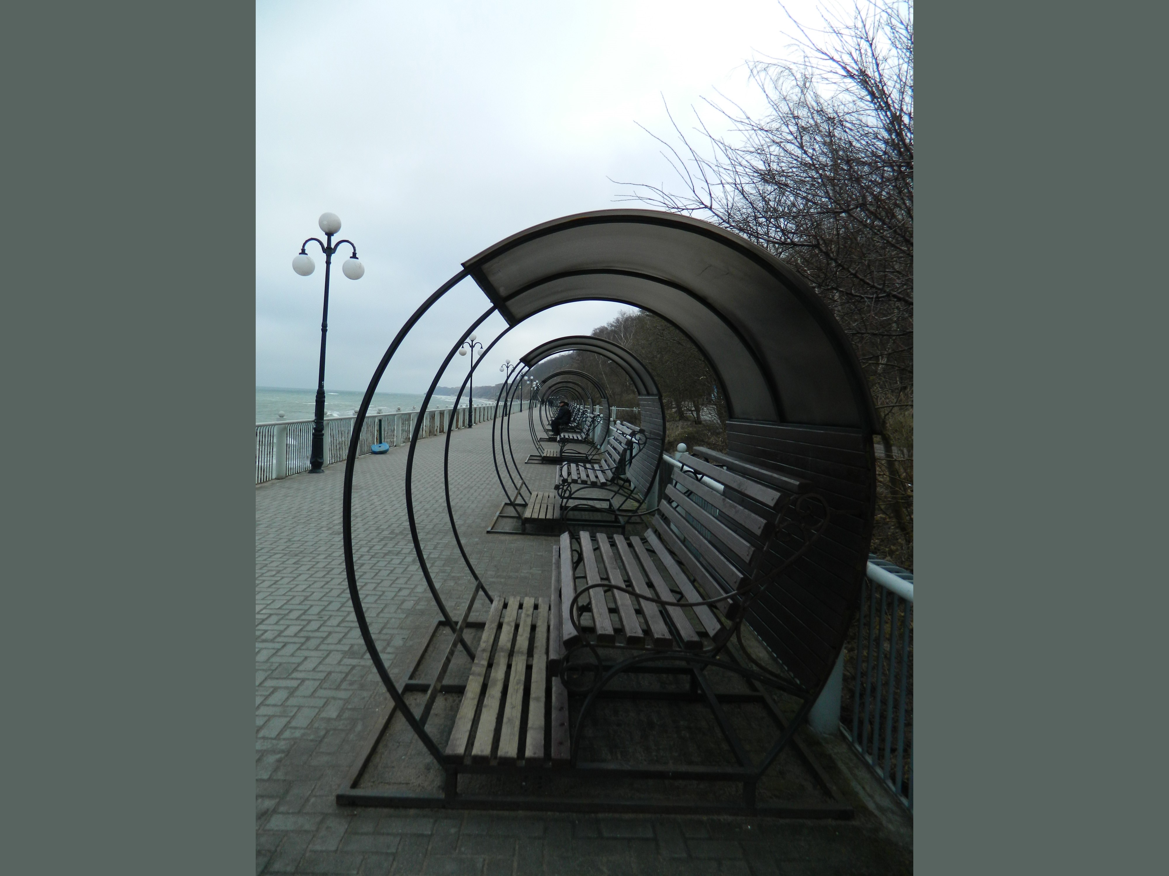 Benches on the promenade in Svetlogorsk HD Wallpaper