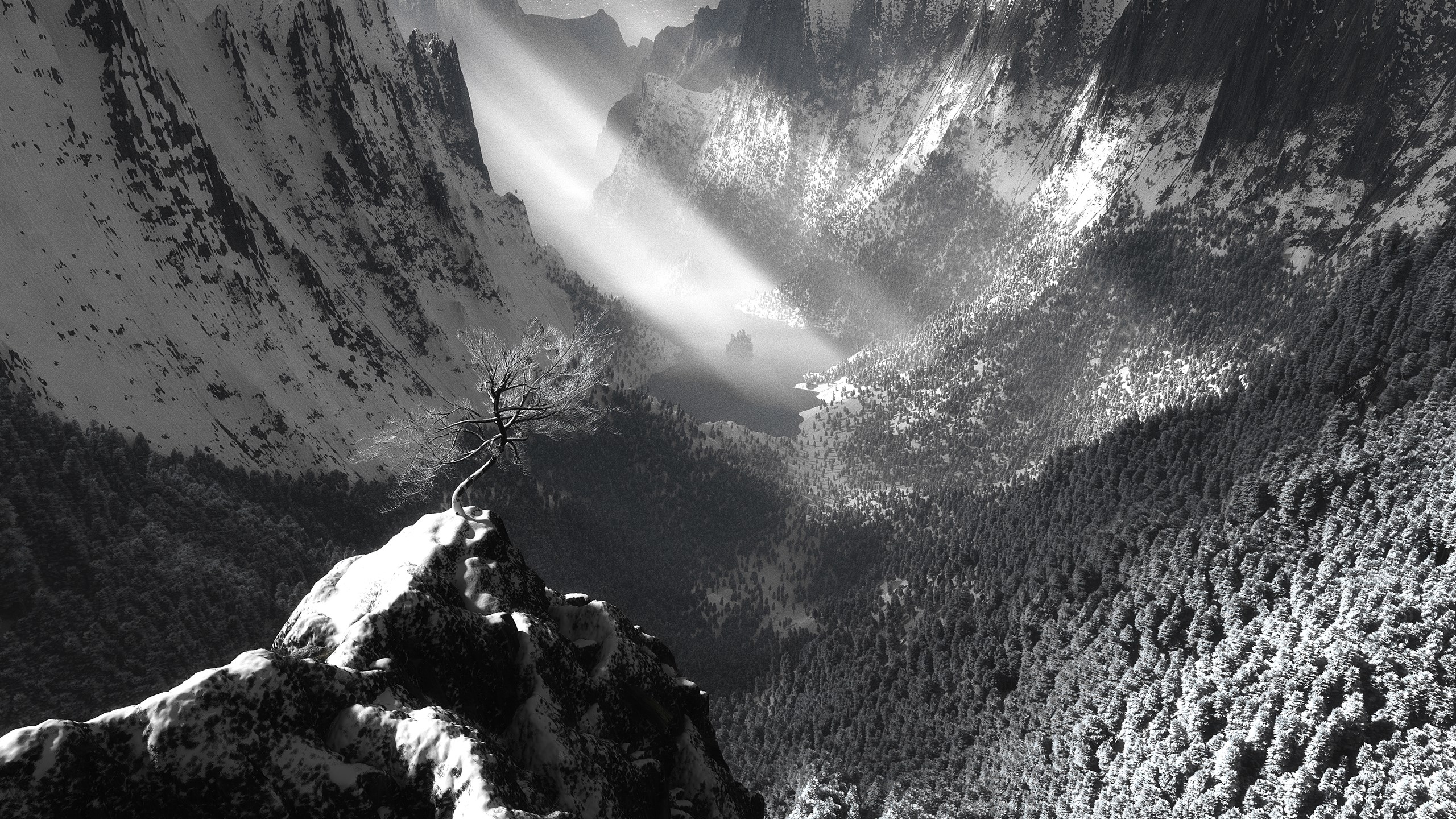 Snowy mountains with sunbeams and a lone tree HD Wallpaper