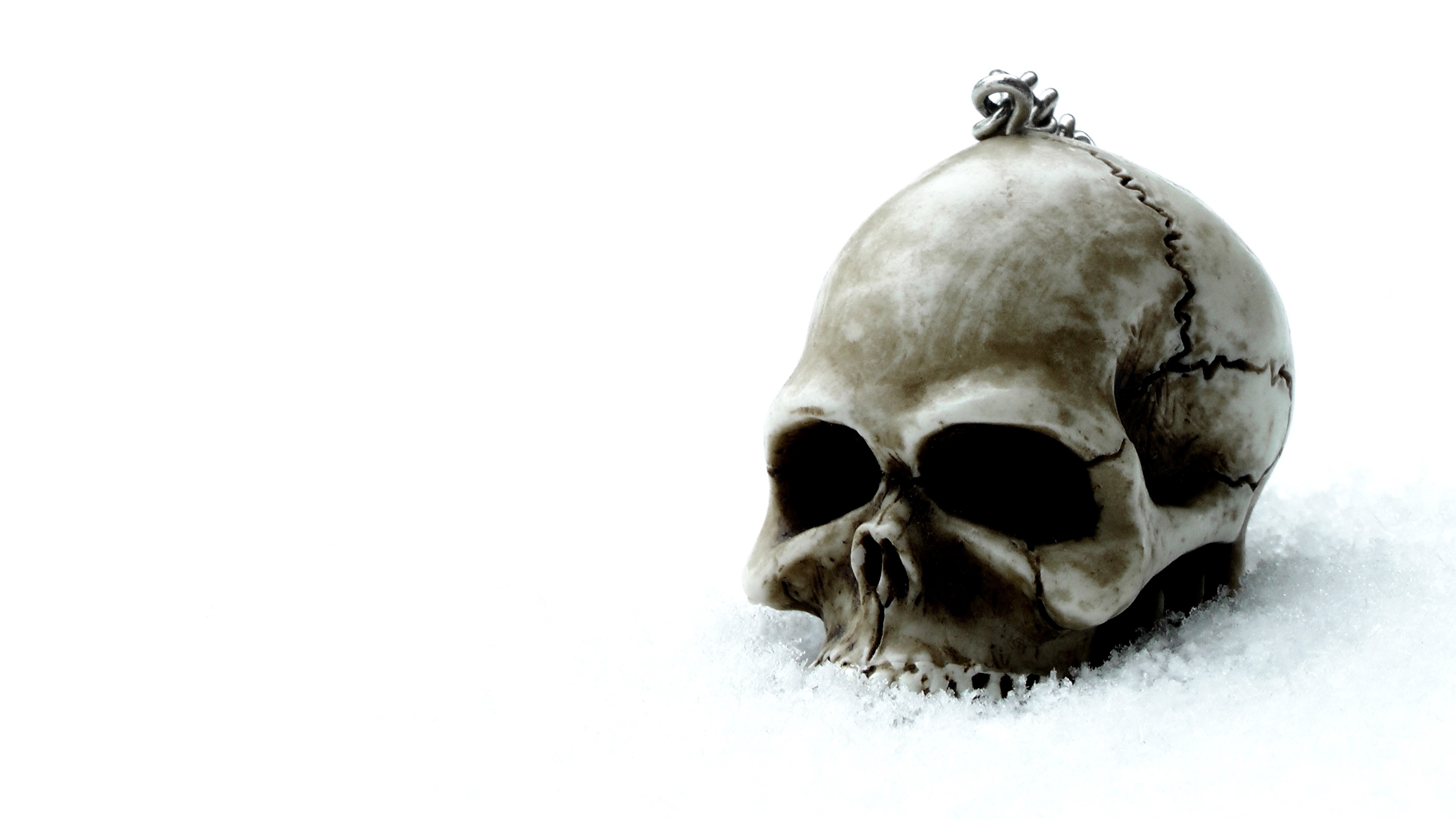 4K Skull in Snow HD Wallpaper