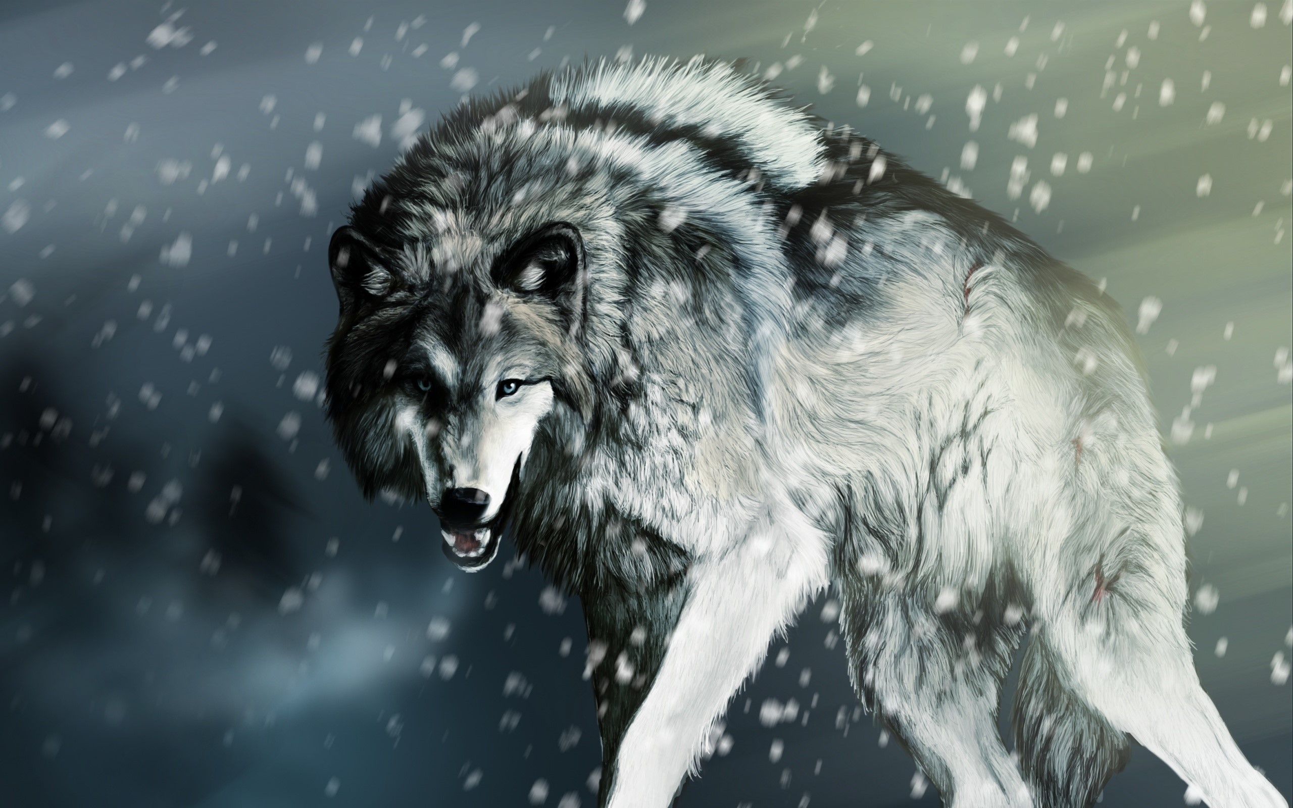 A wolf in the snow HD Wallpaper