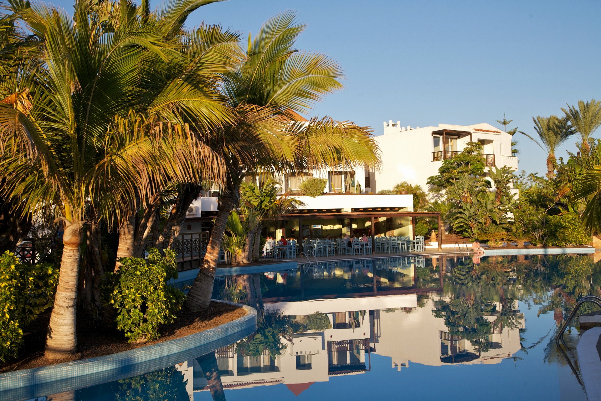 Resort with pool and palm trees HD Wallpaper
