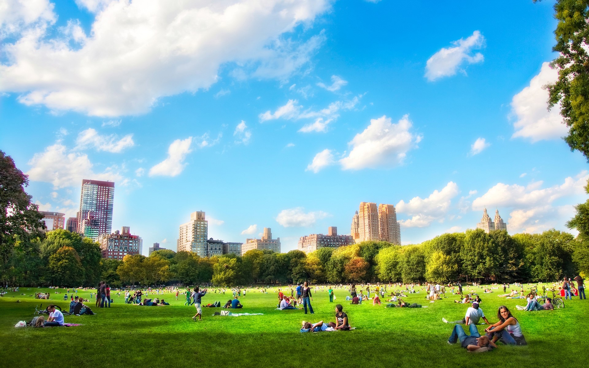 People relaxing in Central Park, New York City HD Wallpaper