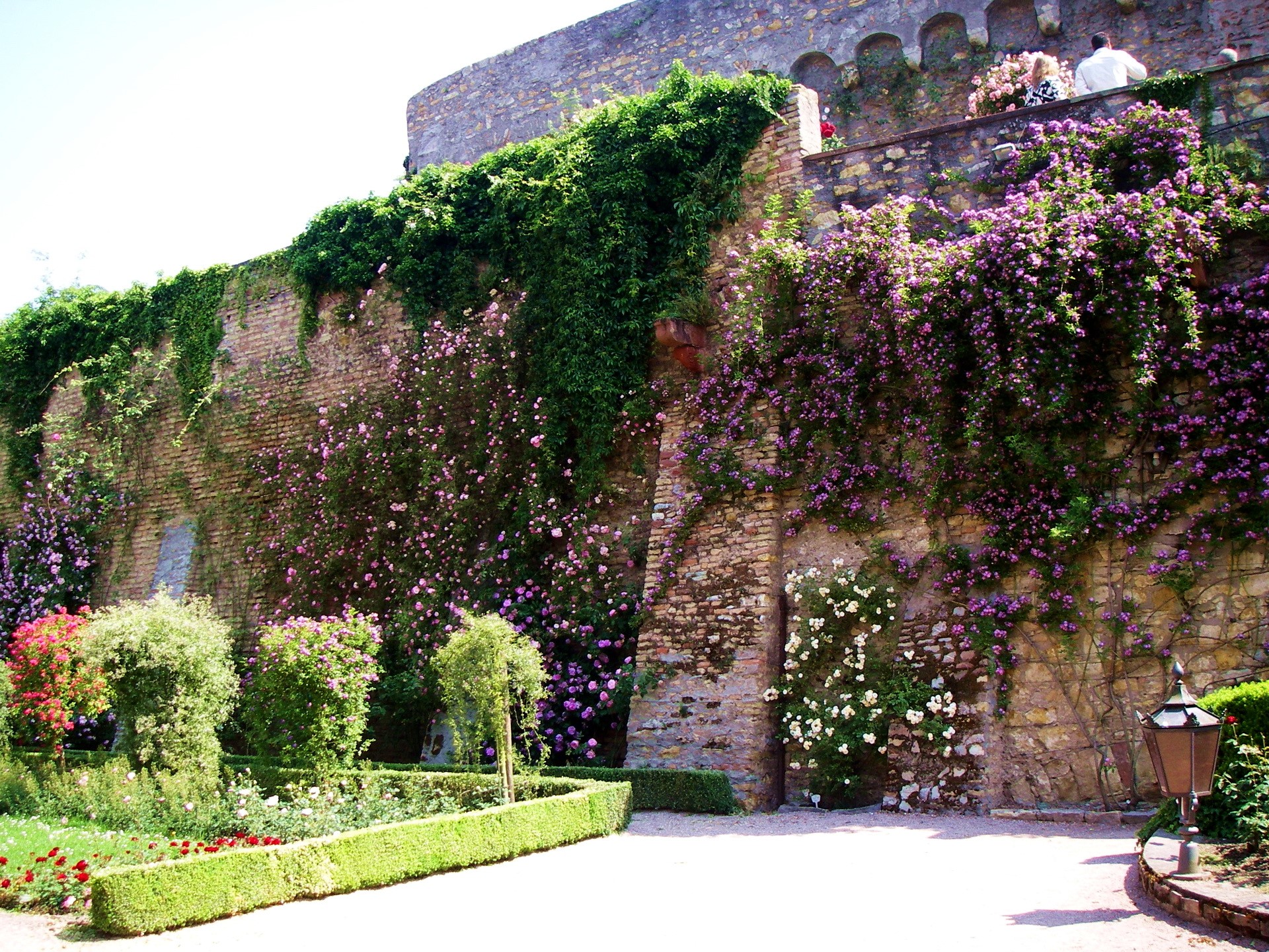 Eltville Castle Gardens in Germany HD Wallpaper