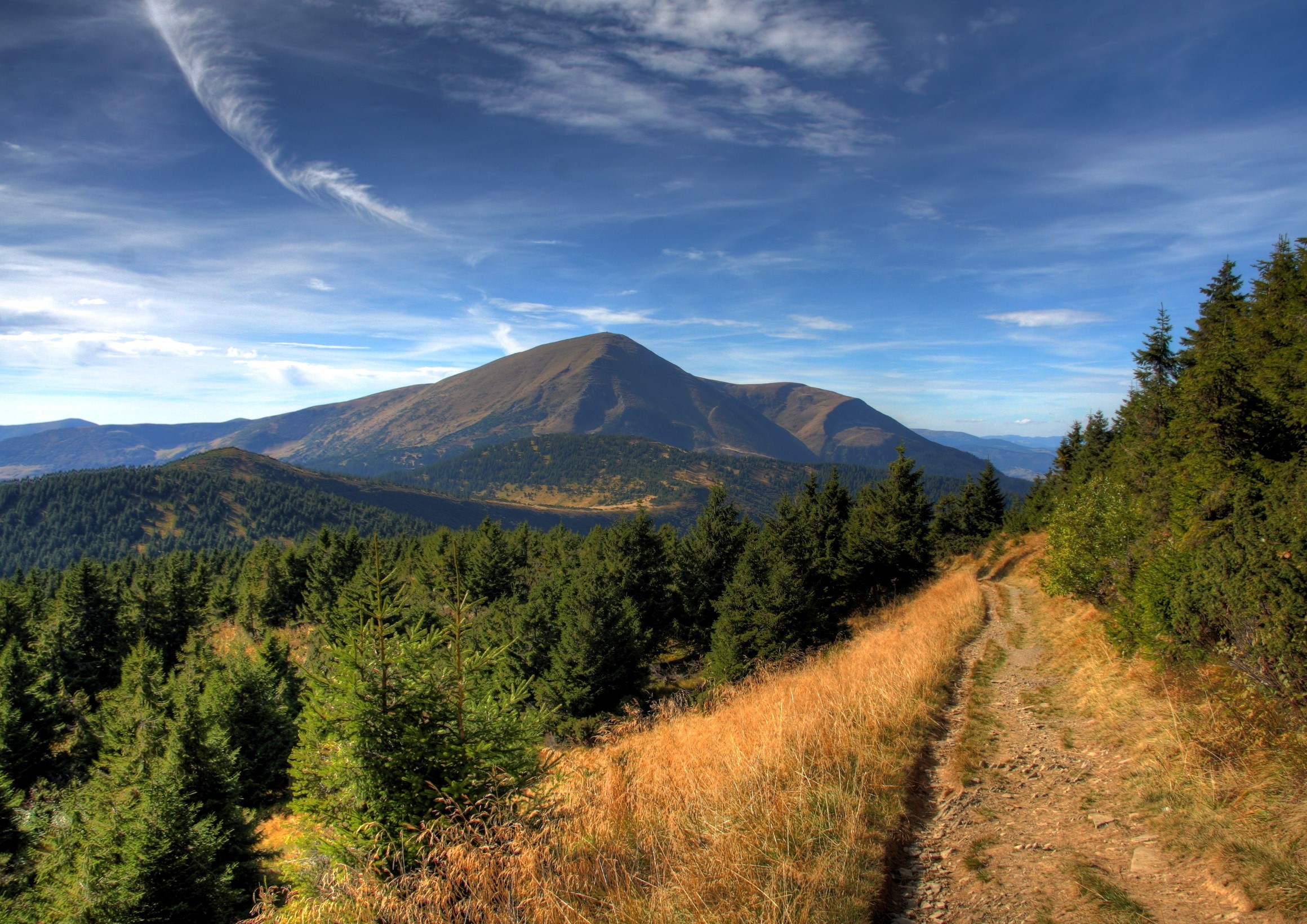 Mountain landscape with a dirt path and pine trees HD Wallpaper