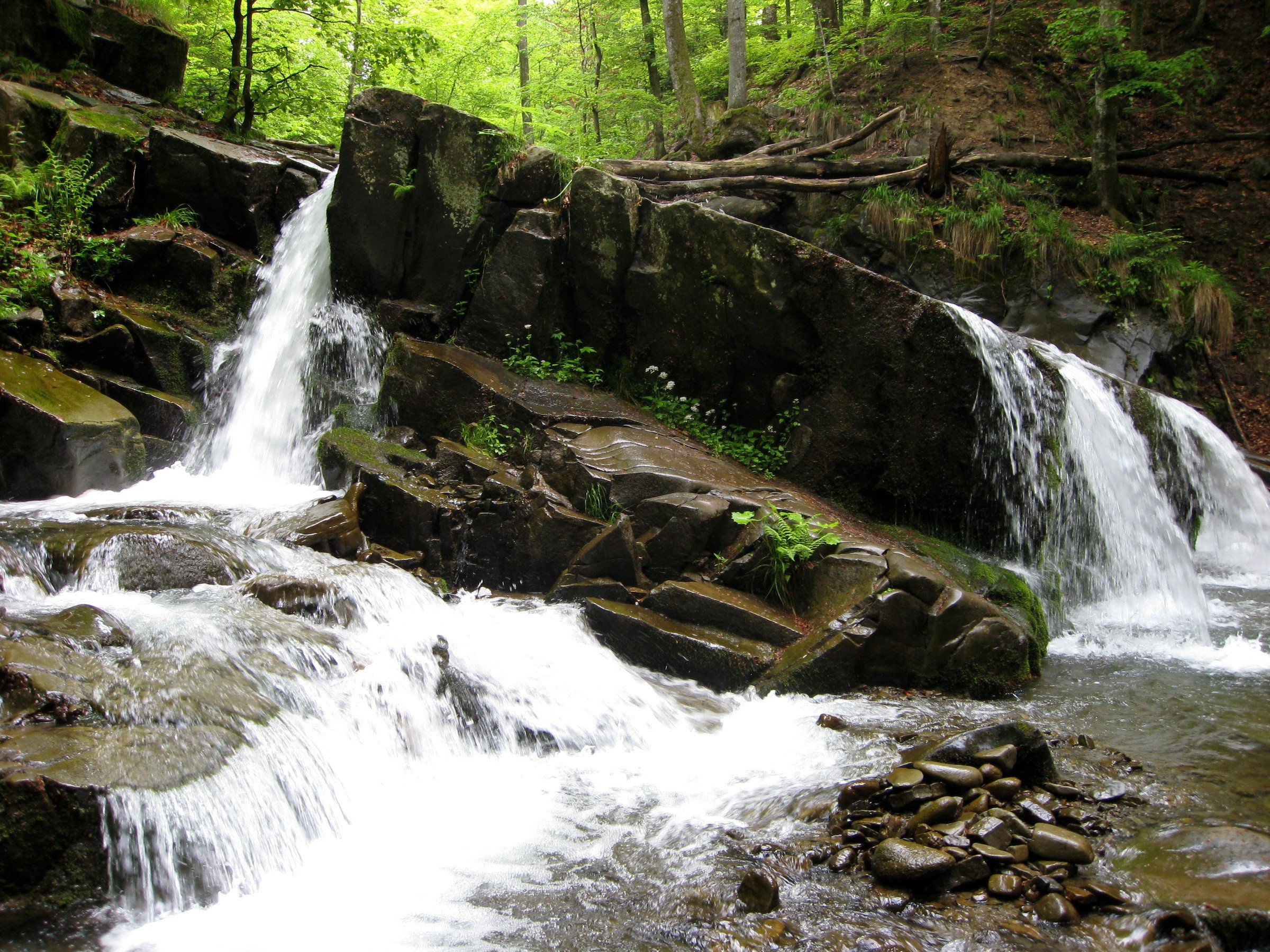 Waterfalls cascading over rocks in a forest HD Wallpaper