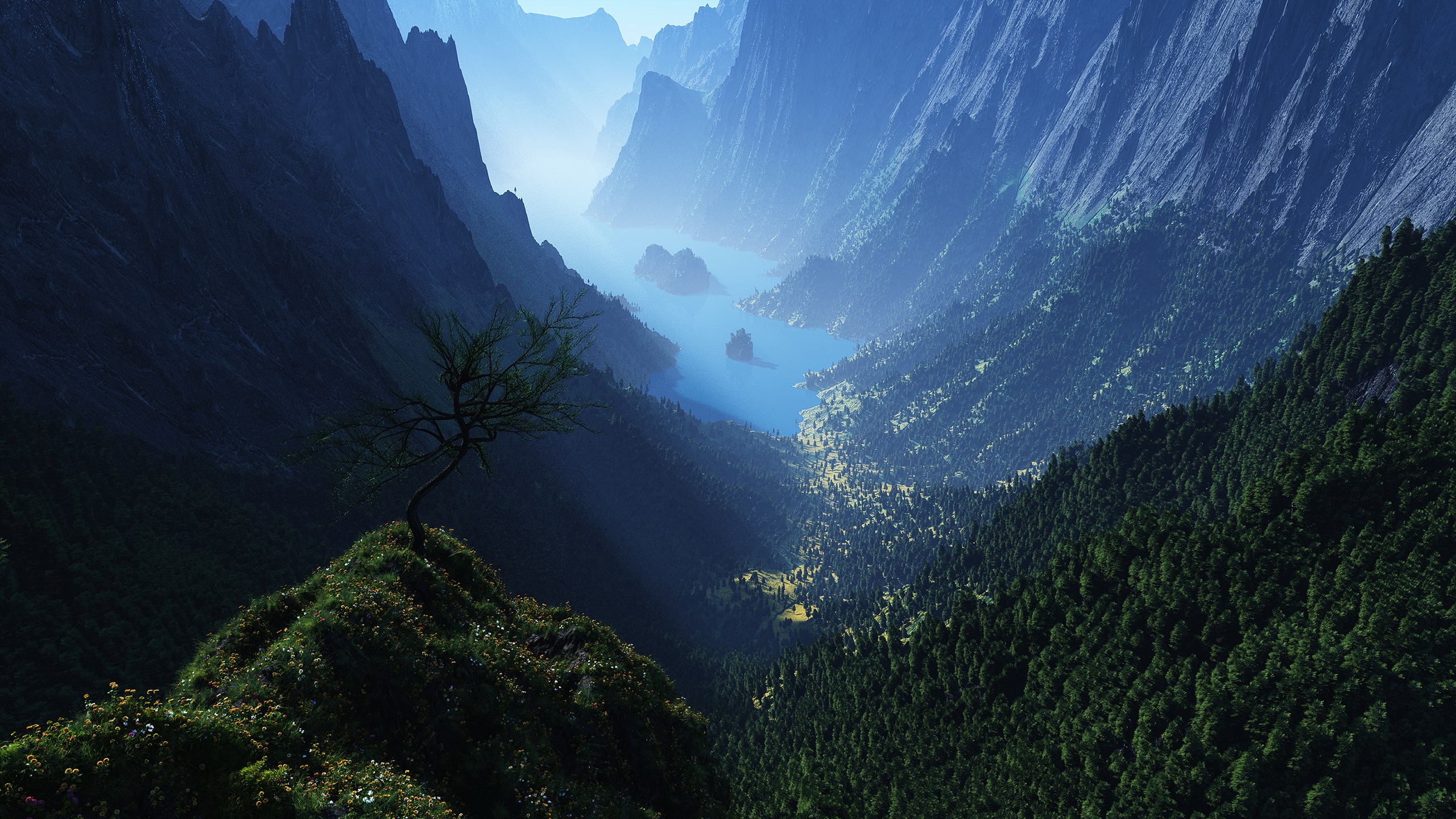 A lone tree on a grassy cliff overlooking a misty mountain valley with a lake HD Wallpaper
