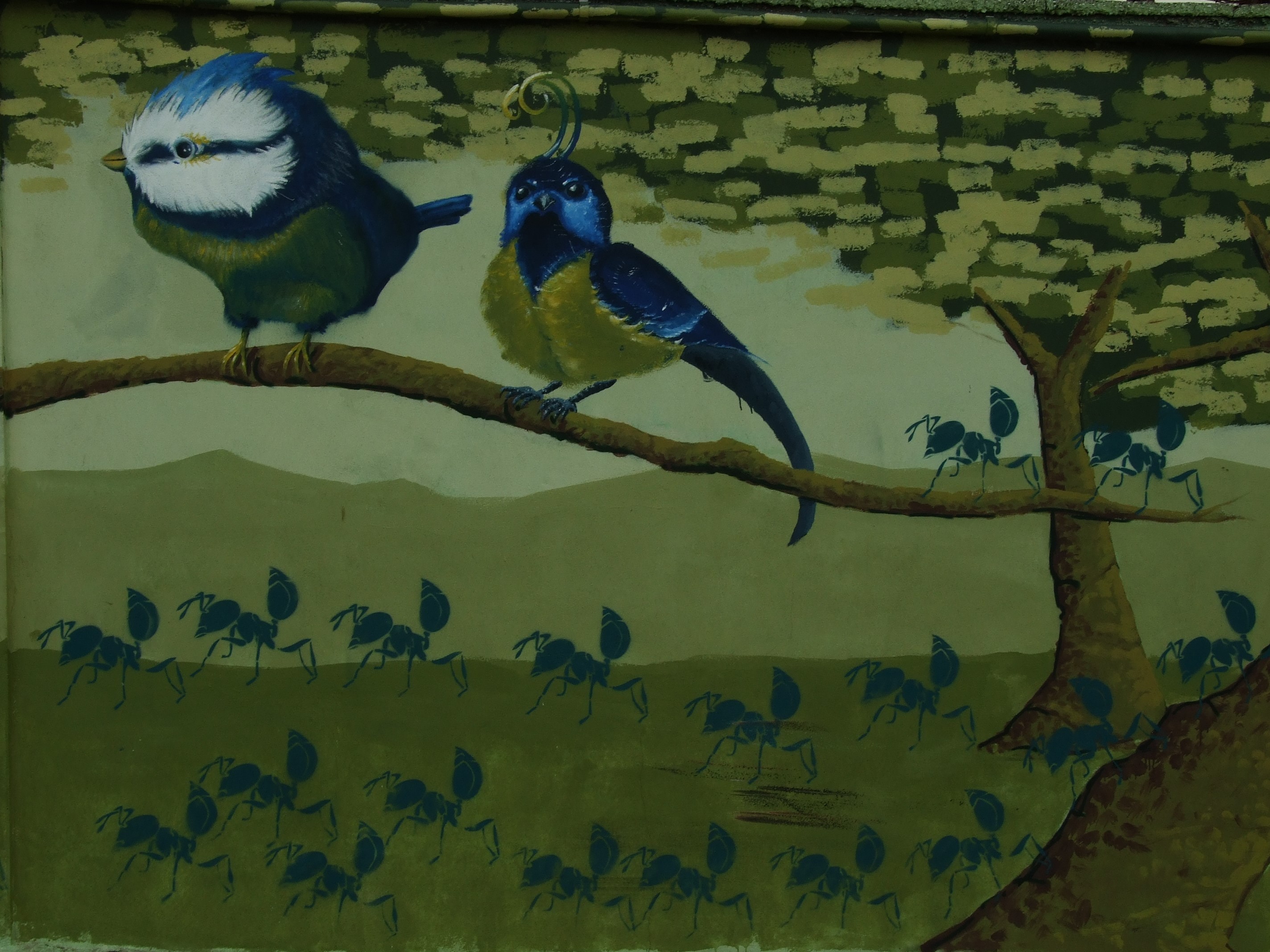 Mural of two birds and ants on a branch HD Wallpaper