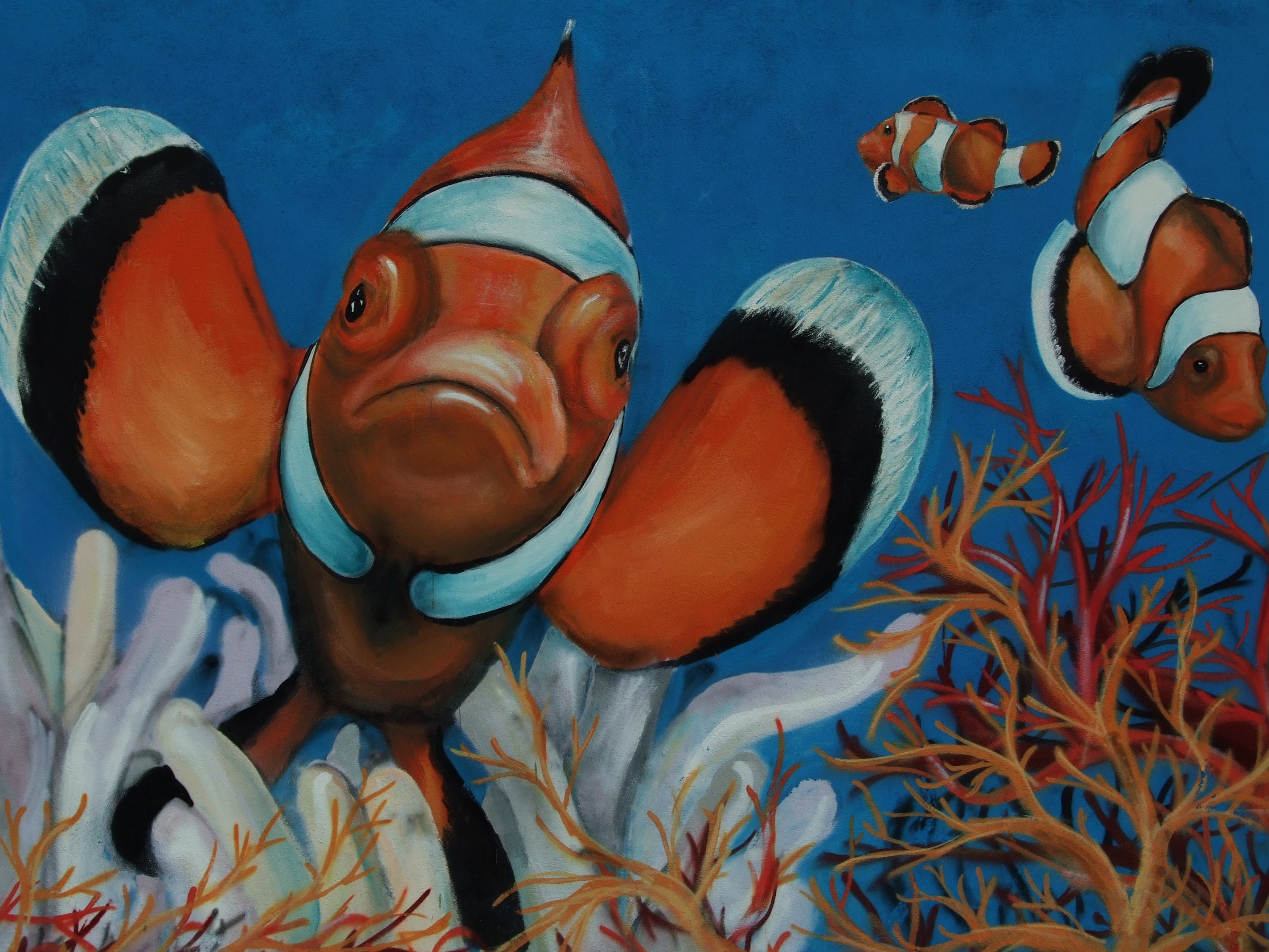Three clownfish swim among coral and anemones HD Wallpaper