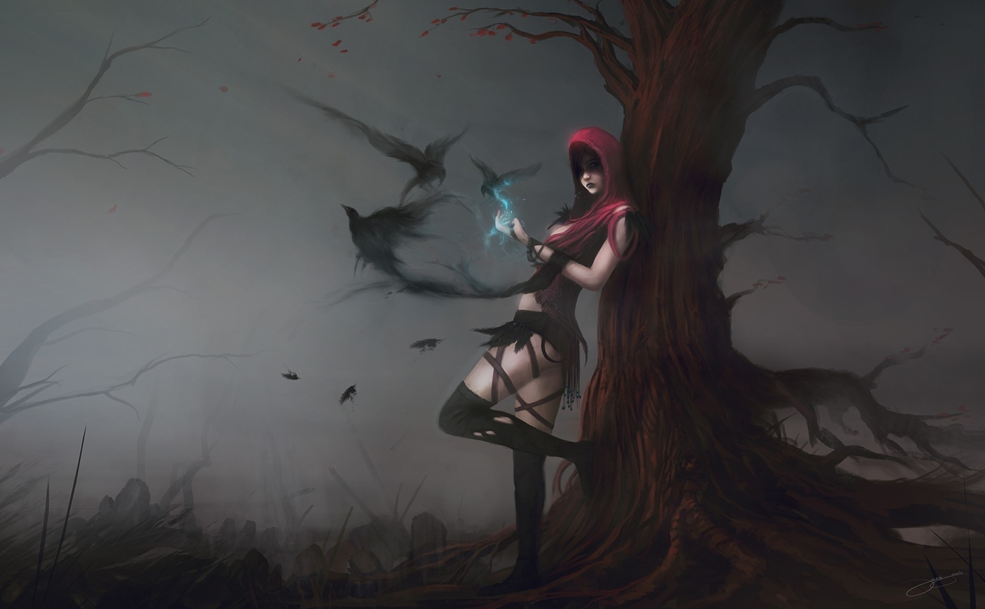 Woman in red hood with birds in a dark forest HD Wallpaper
