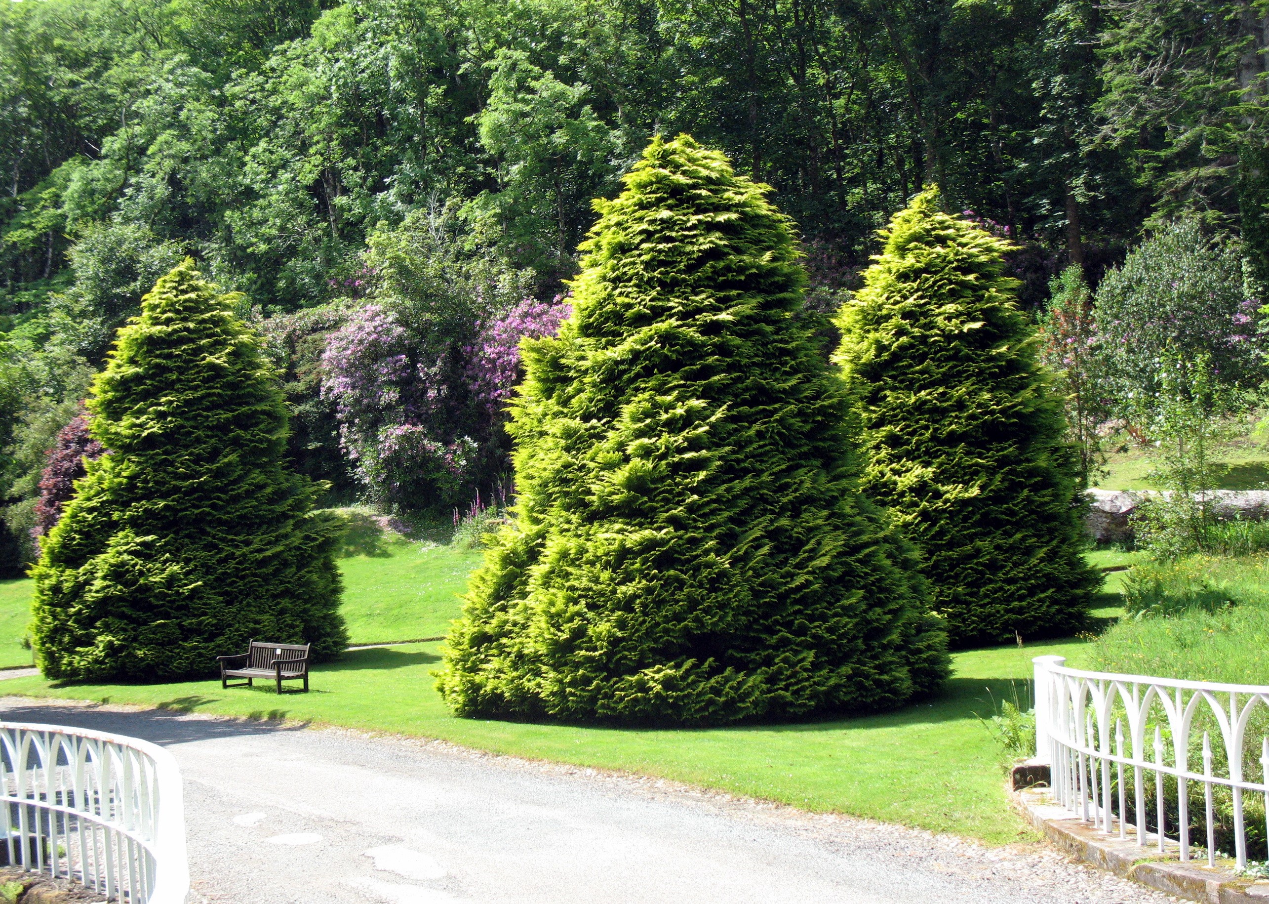 Armadale Castle Gardens Scotland HD Wallpaper
