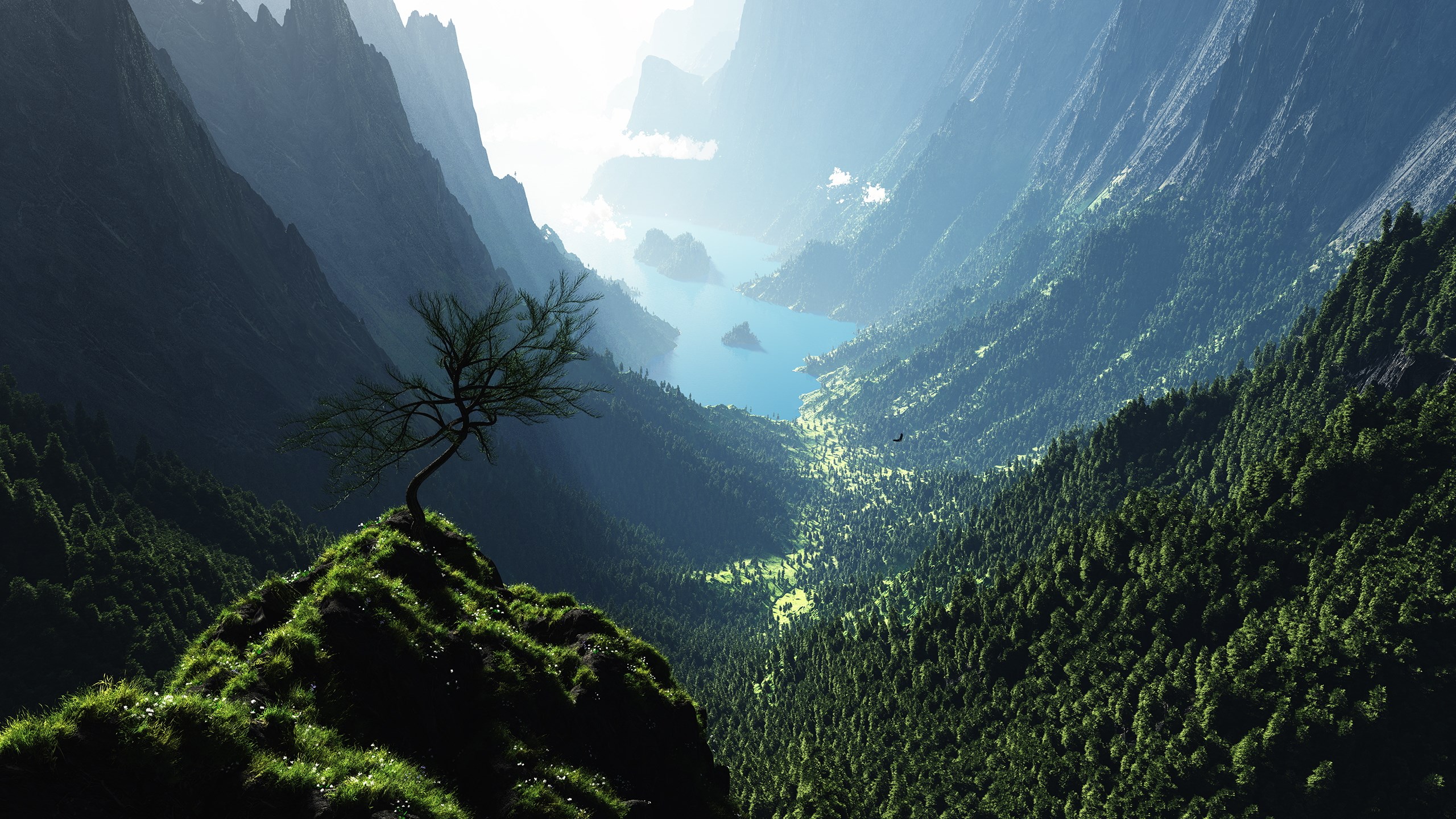 A lone tree on a grassy cliff overlooking a vast mountain valley with a lake HD Wallpaper