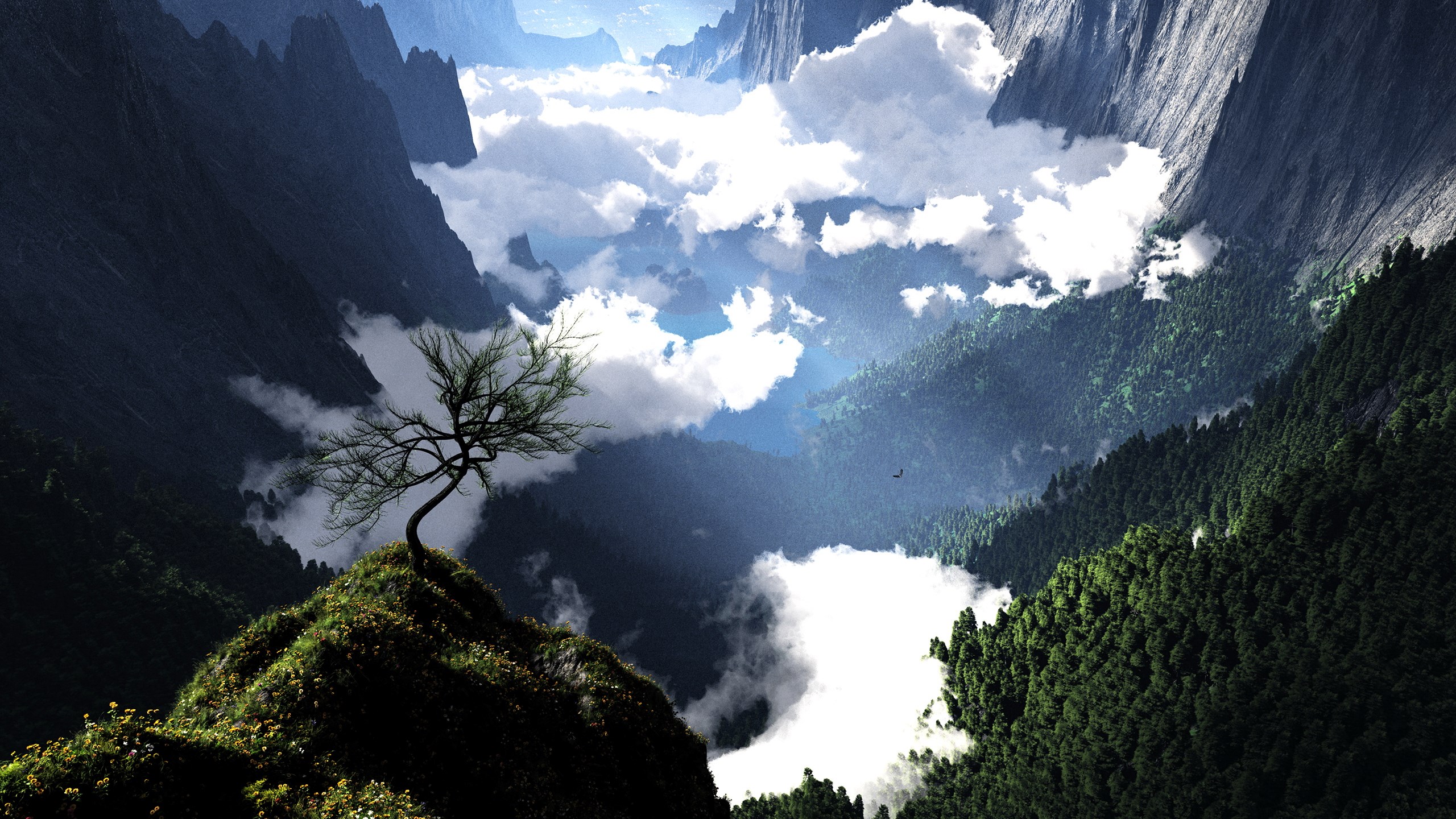 A lone tree on a grassy peak overlooking a misty mountain valley HD Wallpaper