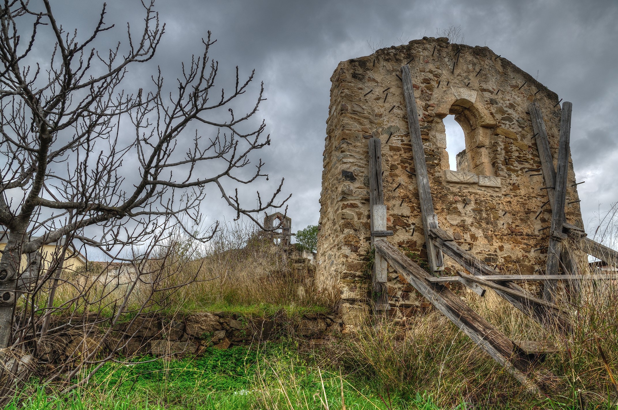 Stone ruins with a bare tree under a cloudy sky HD Wallpaper