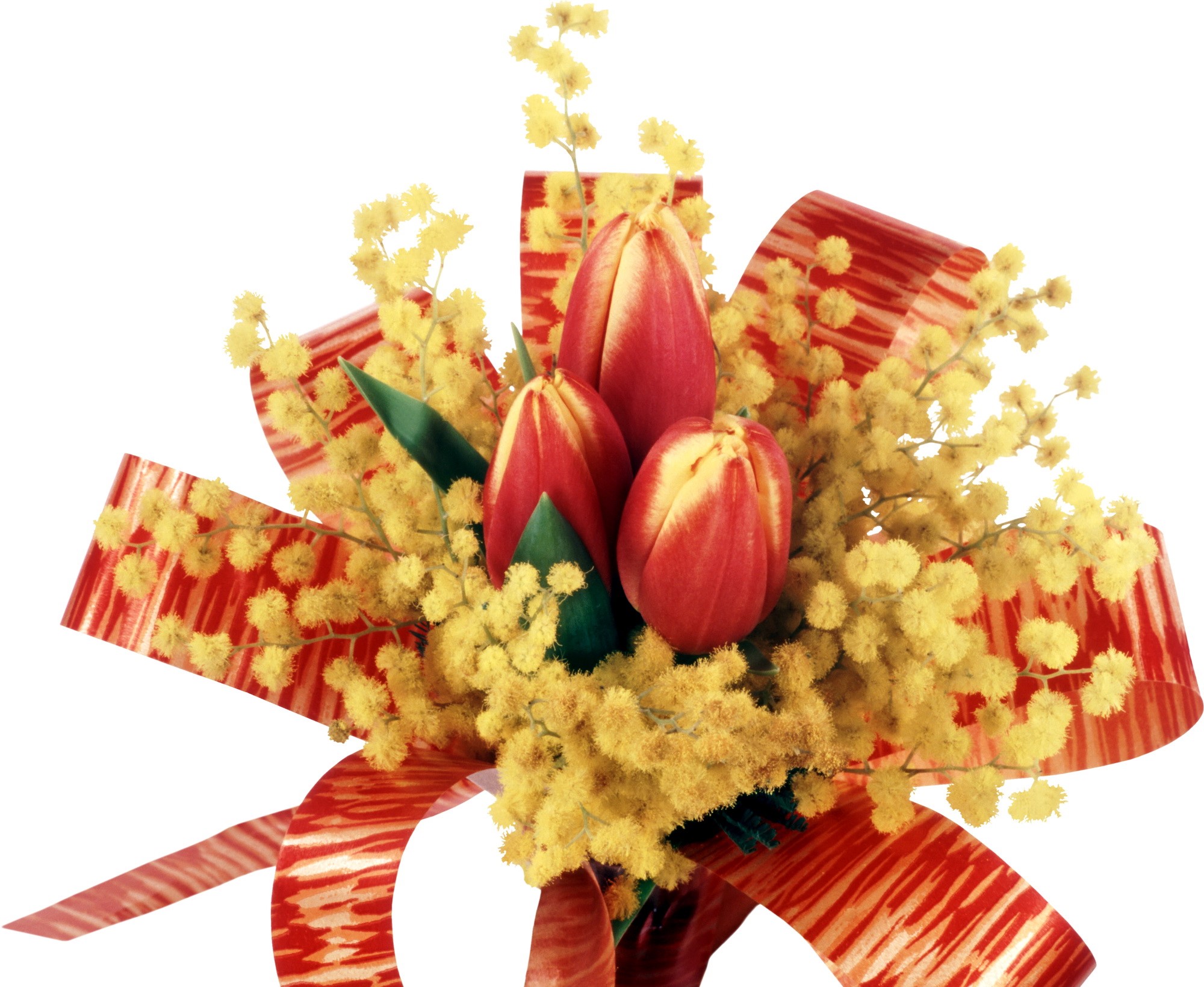 Bouquet of red tulips and yellow mimosa with a red ribbon HD Wallpaper