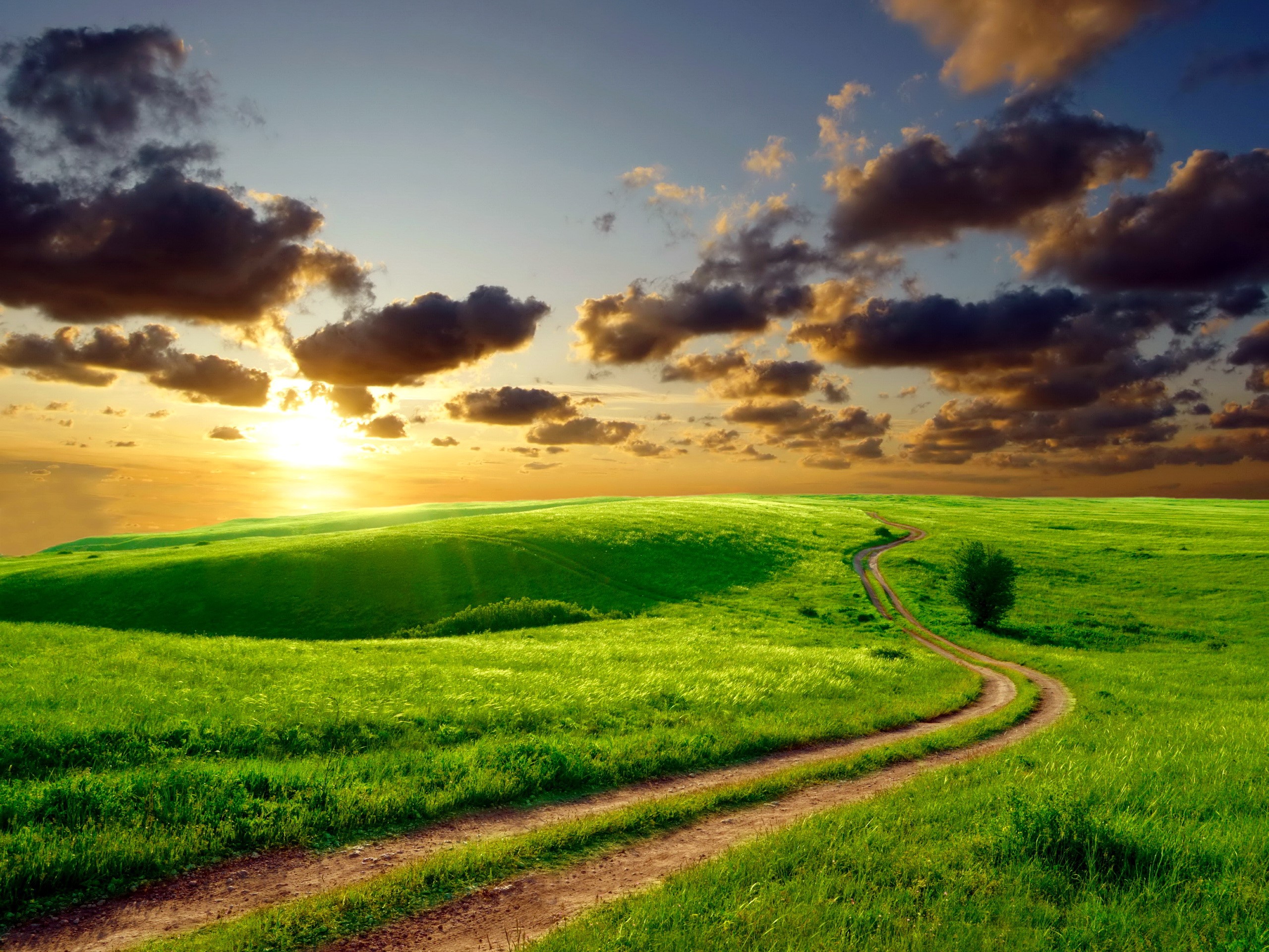 Sunset over a green field with a dirt road HD Wallpaper