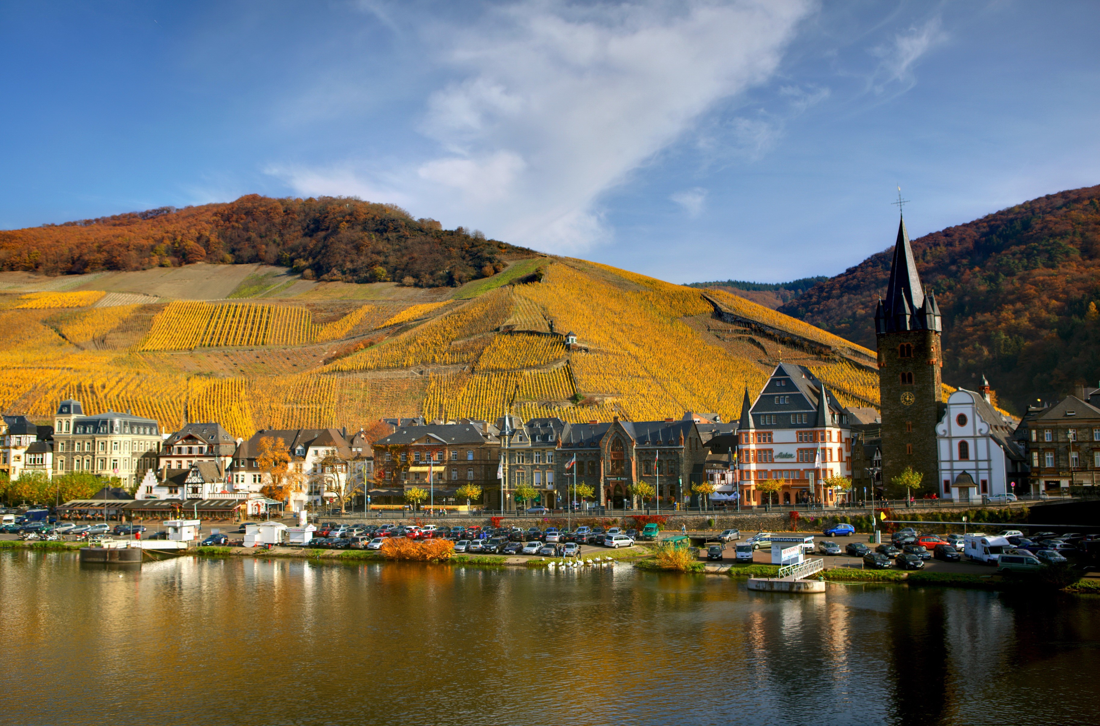 Town on a river with vineyards in autumn HD Wallpaper