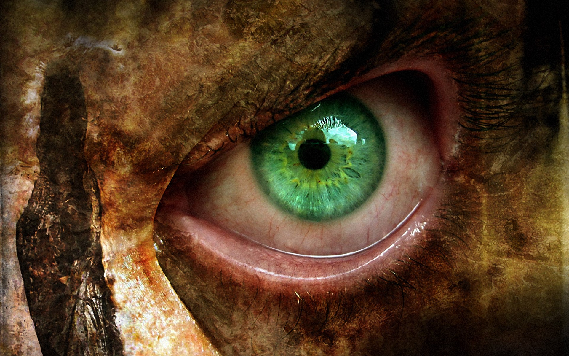 Close-up of a green eye with textured skin HD Wallpaper