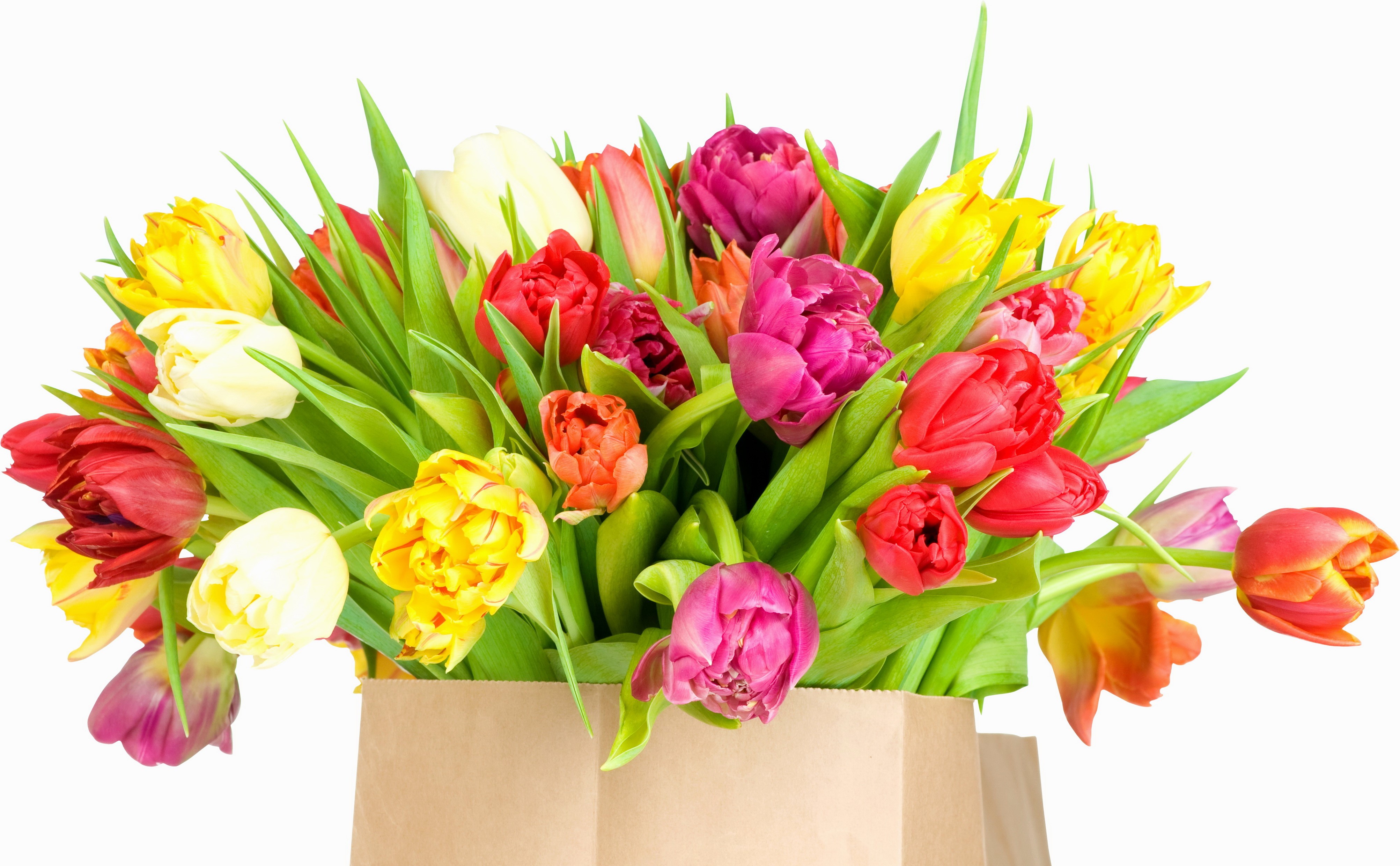 Bouquet of colorful tulips in a paper bag HD Wallpaper