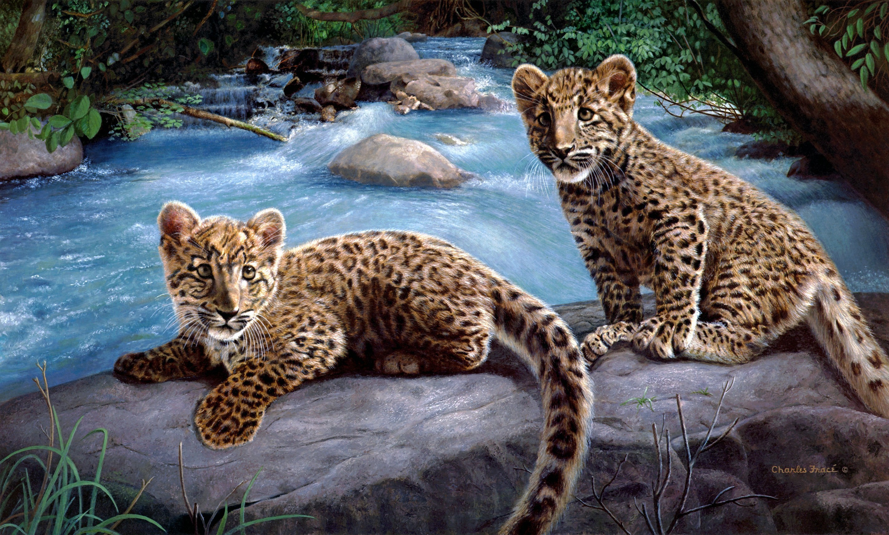 Two leopard cubs by a stream HD Wallpaper