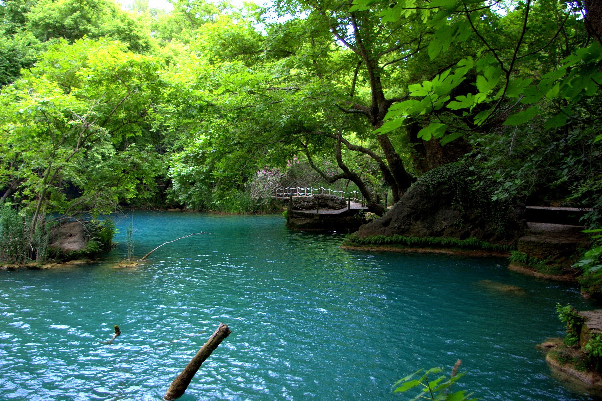 Turquoise river flowing through a lush green forest with a wooden bridge HD Wallpaper