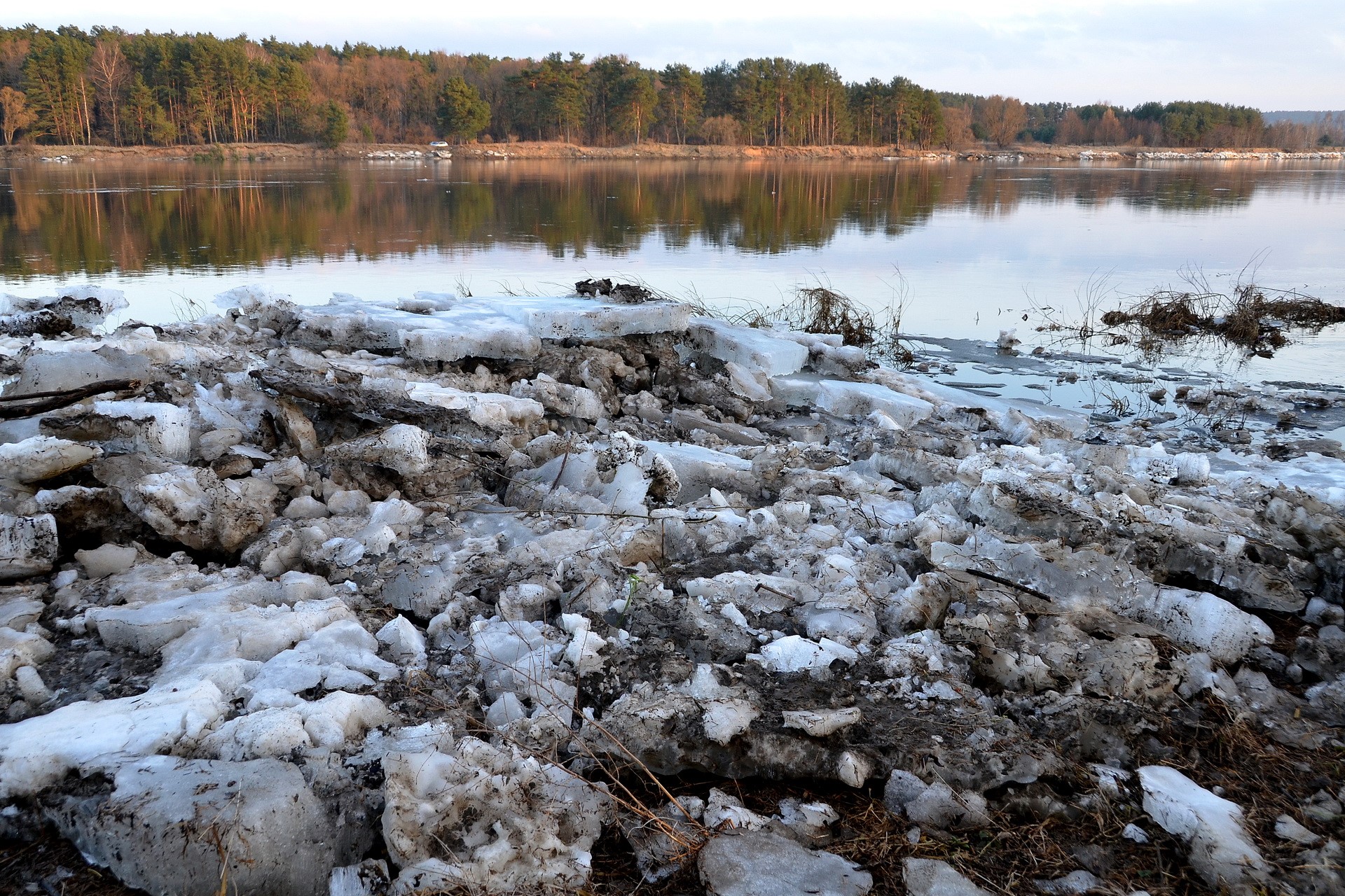 Ice floes on the riverbank with a forest in the background HD Wallpaper